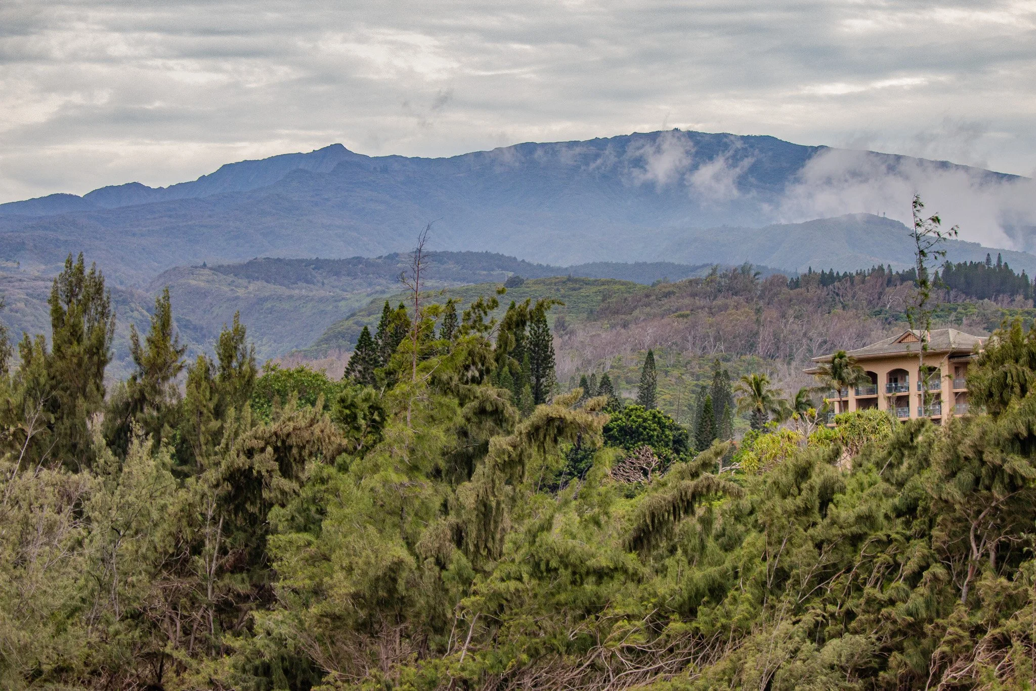 Lush ridges of the West Maui Mountains rising above the rugged coastline near Nakalele Point on Maui’s northwest shore