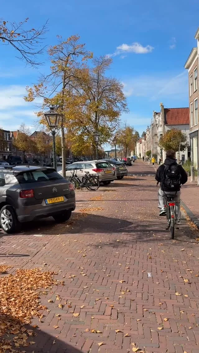 🍂Herfst! Door weer en wind, zon of regen bezorgen we graag bij jou. 🚲 Bestel via onze website: soupsandsalads.nl
#bezorgenmeteenuitzicht #leiden