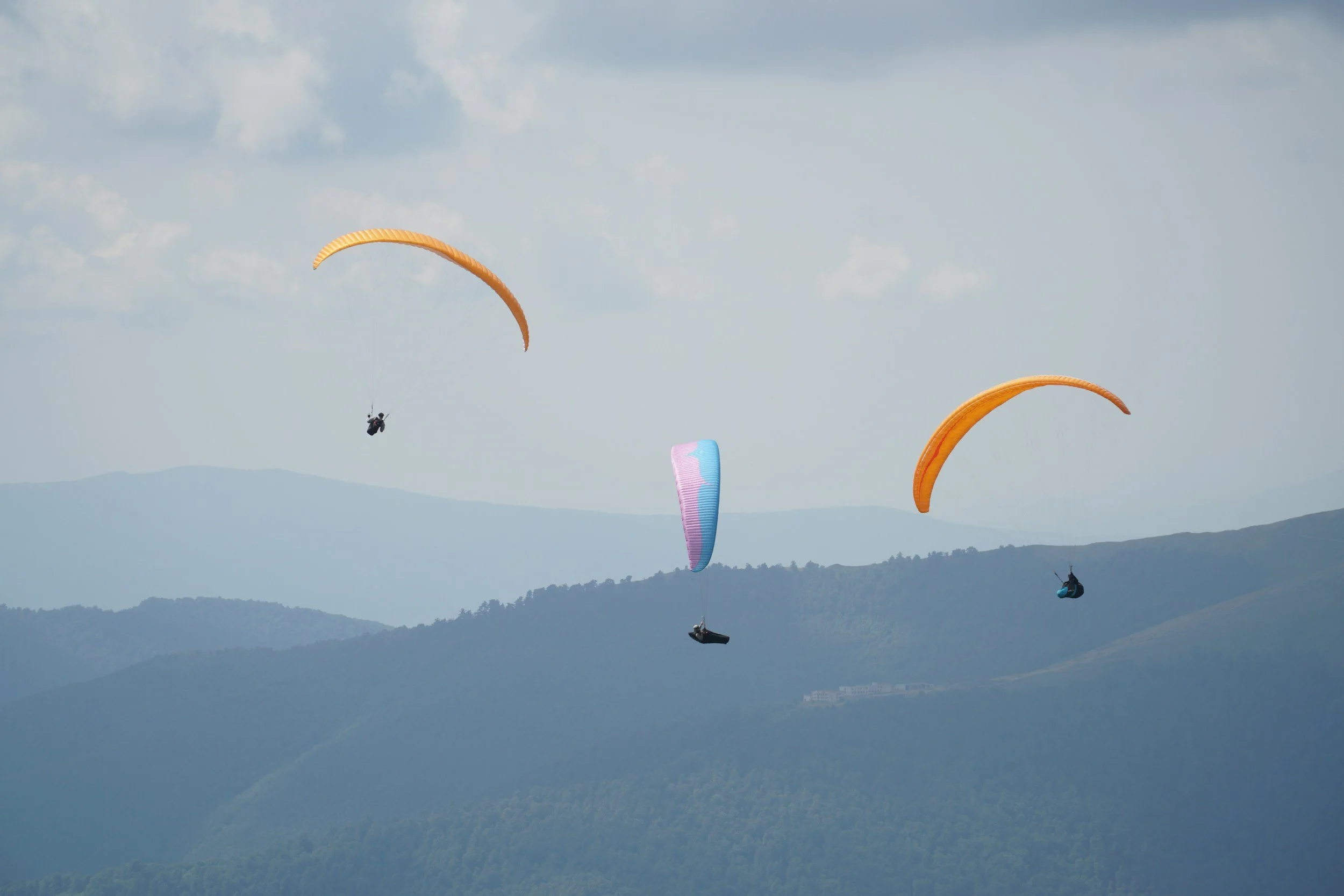 unsplash-image-r8A08fISrHg.jpg