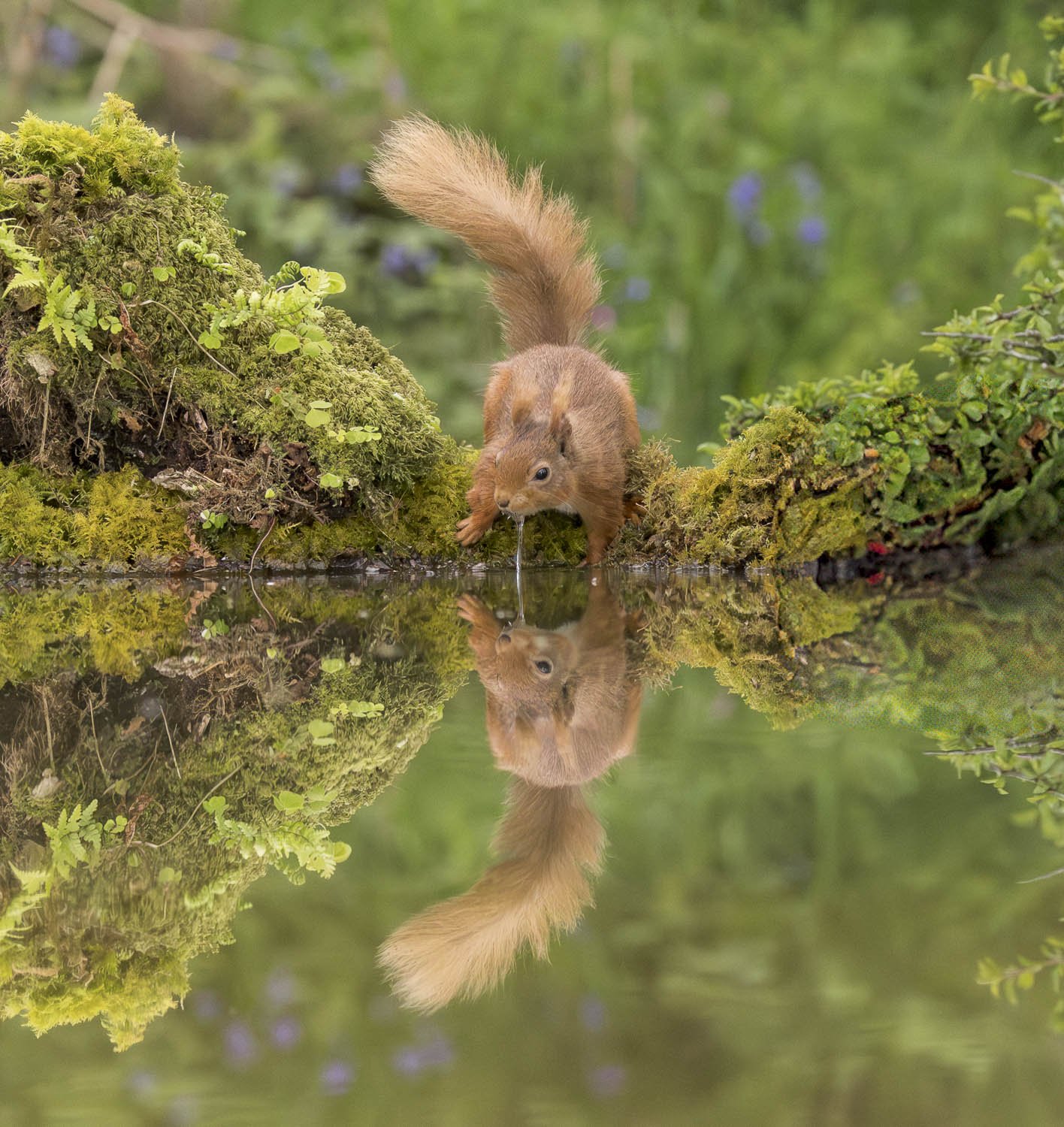 moment of reflection