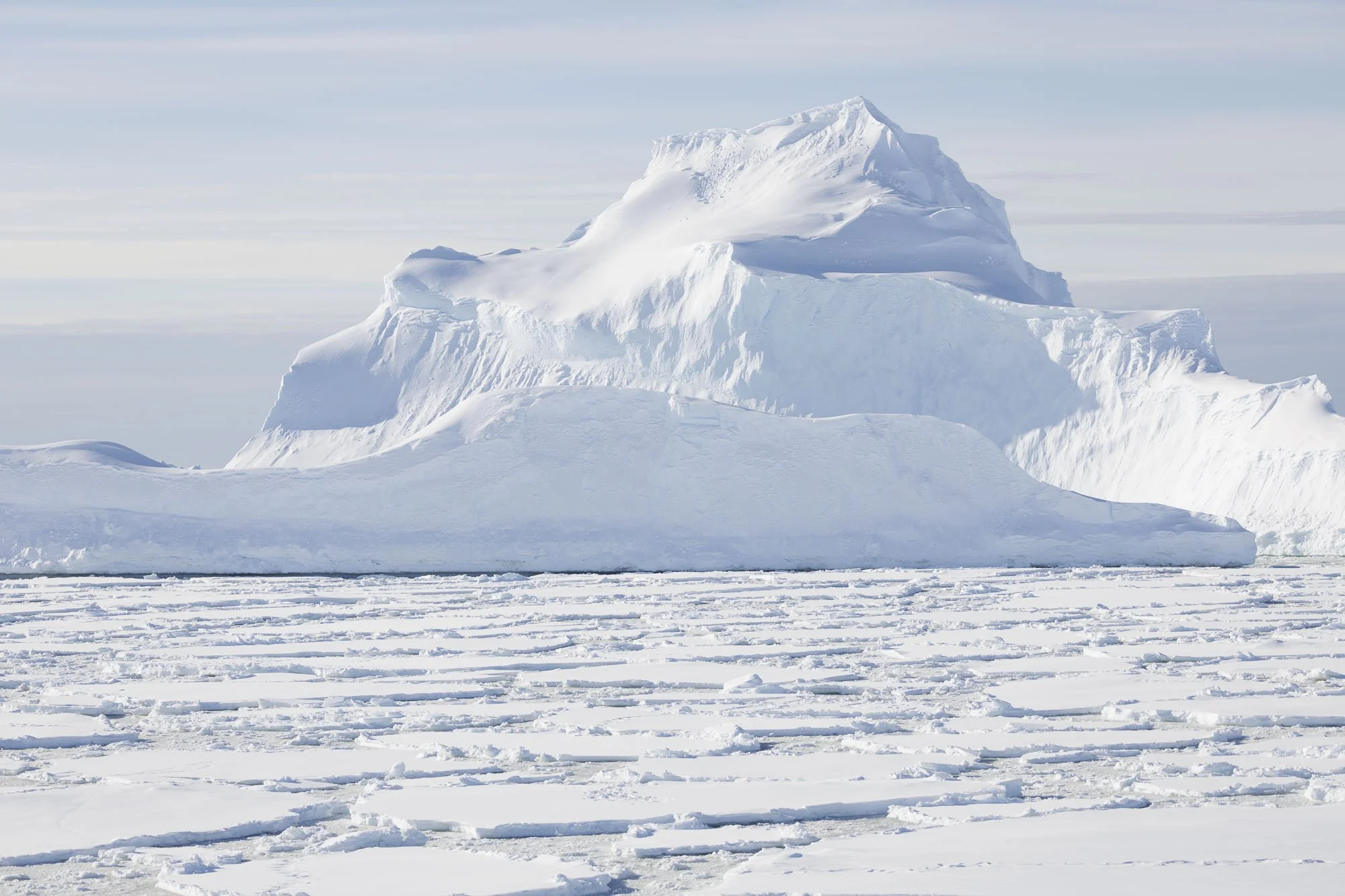 ice floes 