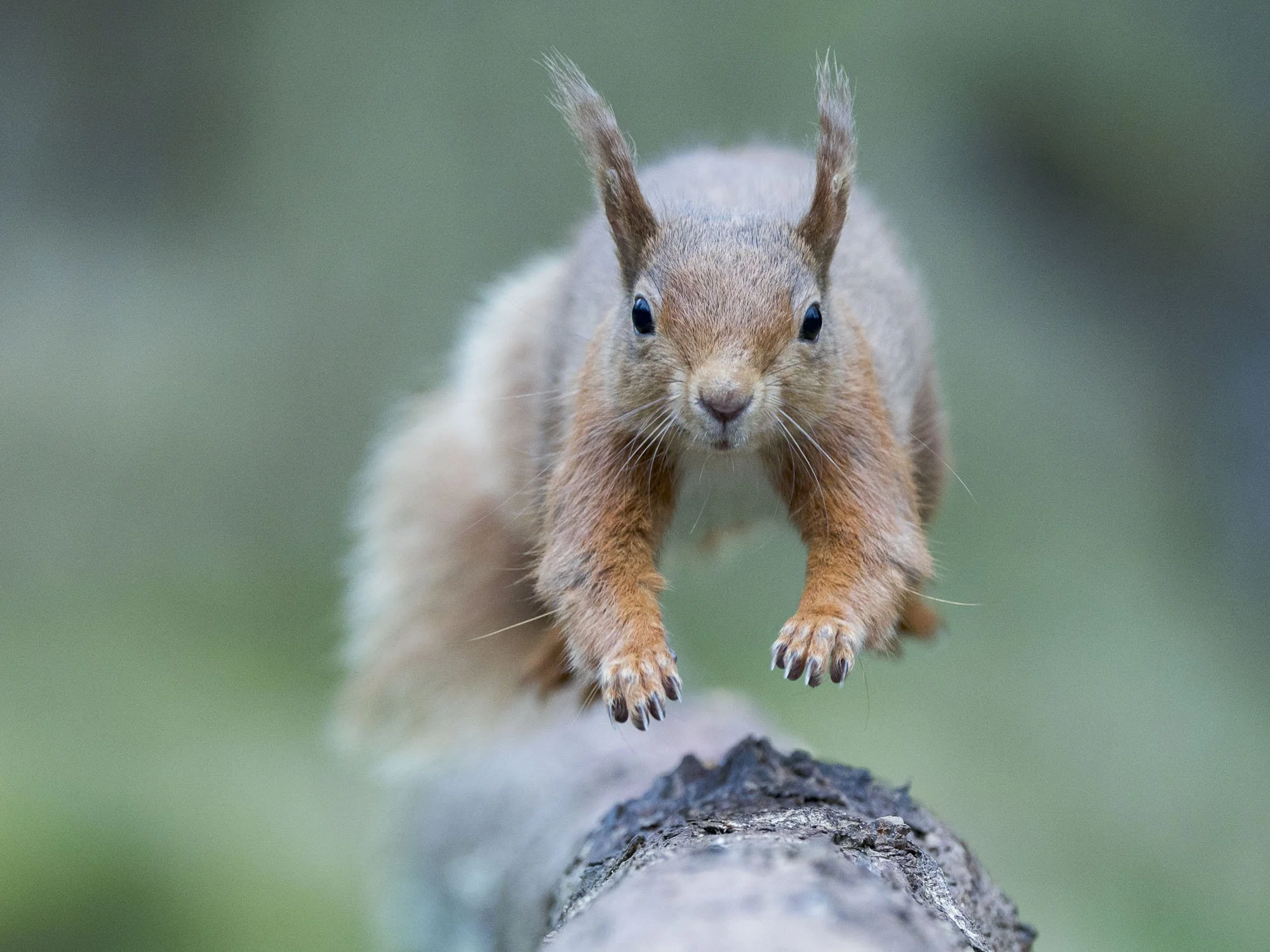  comin' at YOU!