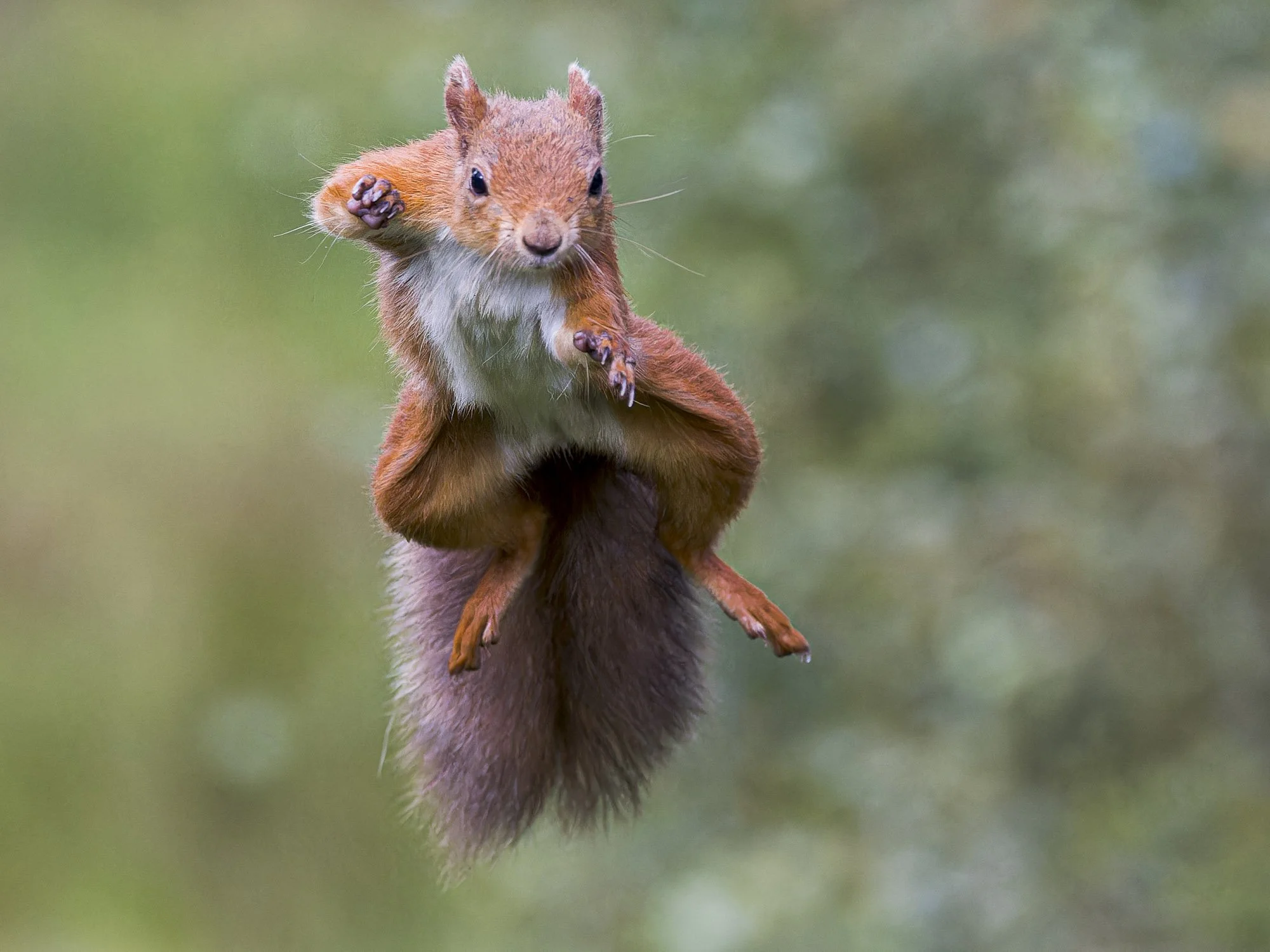 mid air adjustment