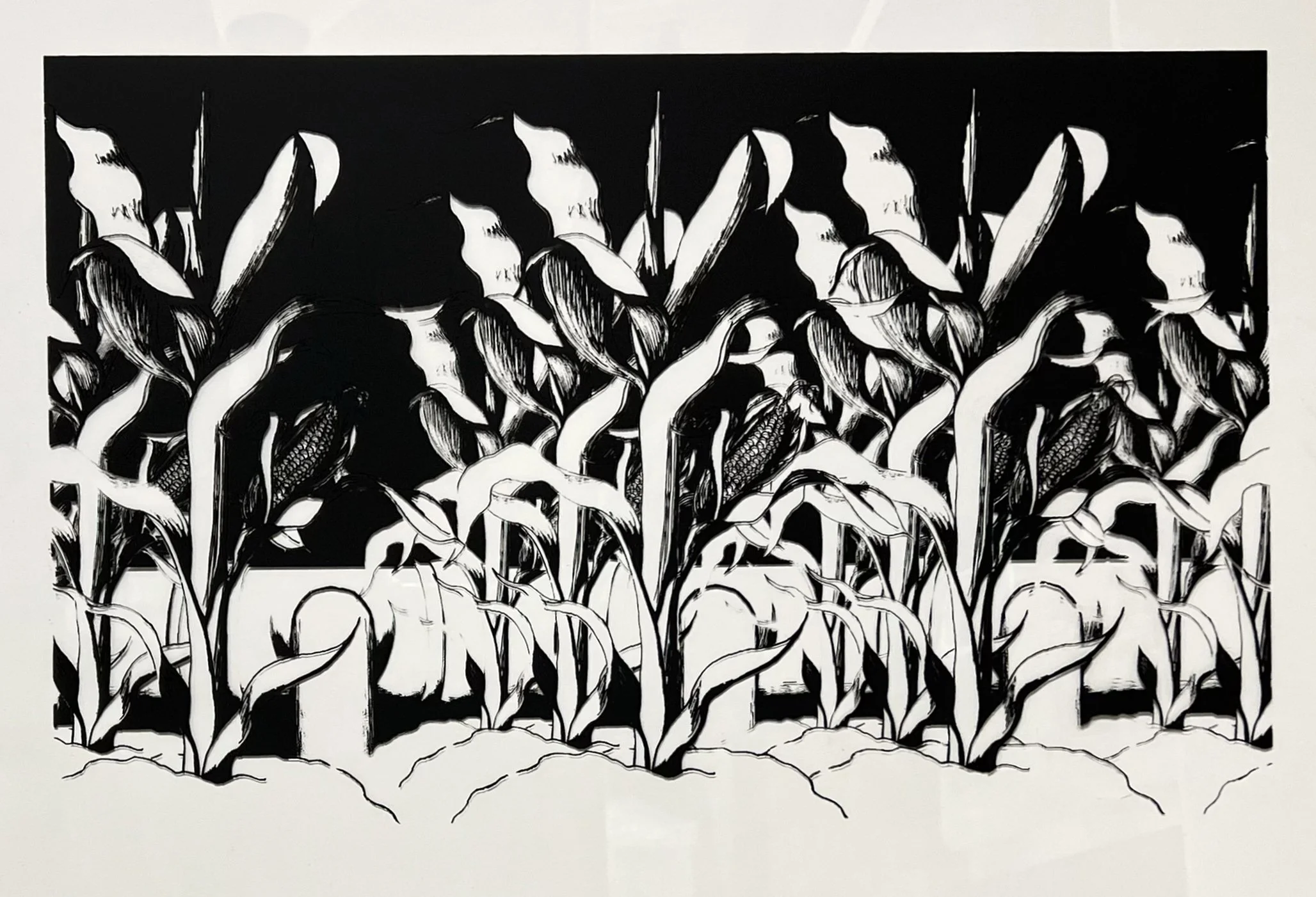 Corn Syrup, Screenprint, Ink, Plexiglass, 24" x 36"