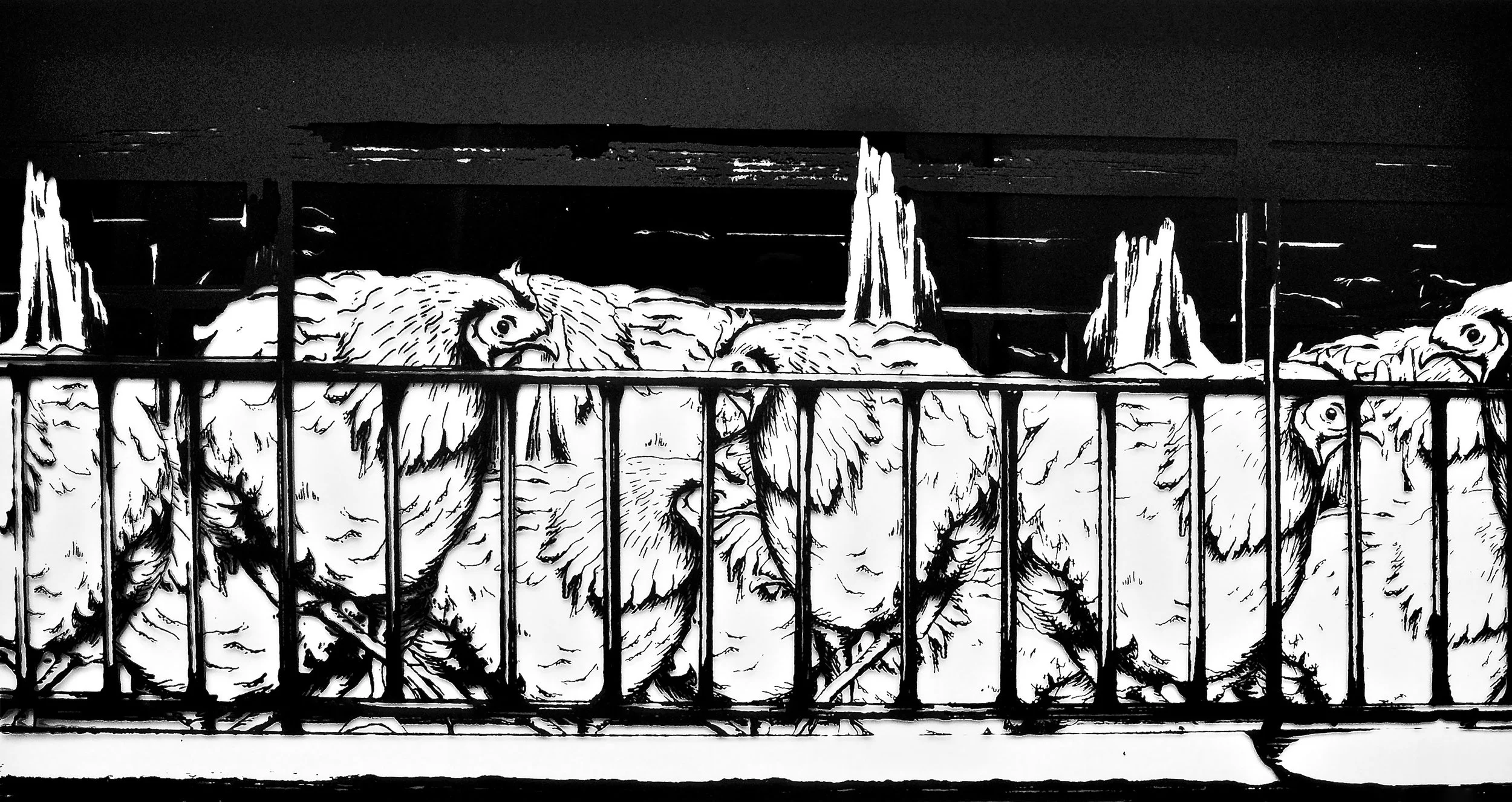 Black and white illustration of multiple chickens sitting behind a metal cage, with some perched on posts in the background.