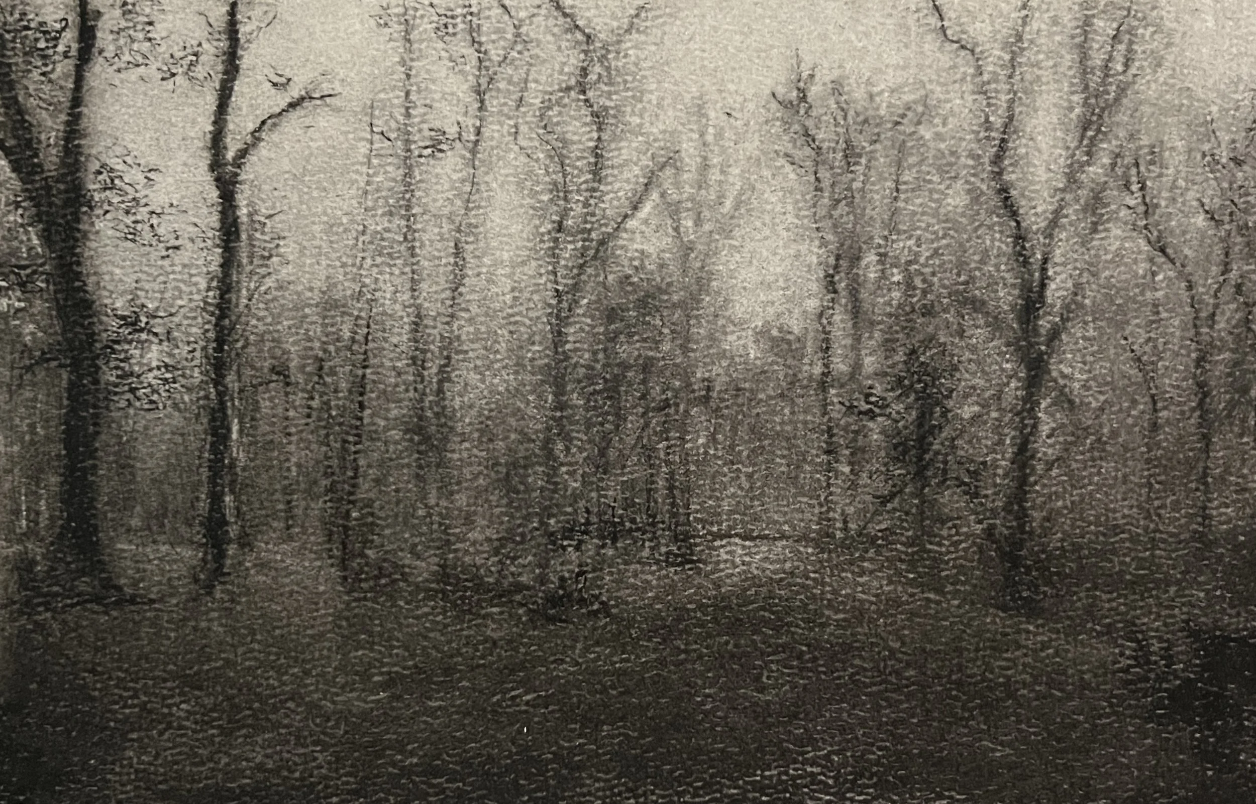 Rappahannock River, Charcoal on paper
