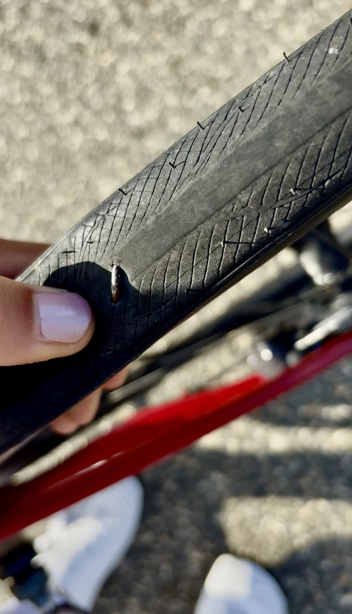 Never a dull moment: long ride from Venice to Point Mugu, CA