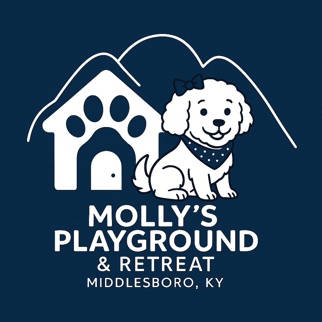 Molly's Playground