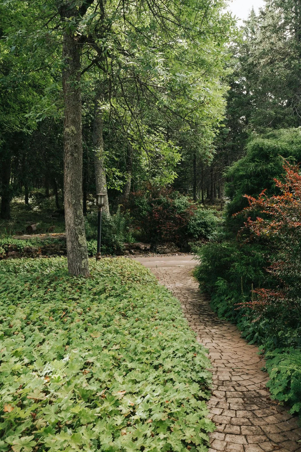 Peaceful walking paths throughout the landscaped grounds.