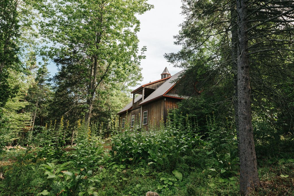 Private wooded areas designed for quiet reflection and connection with nature.