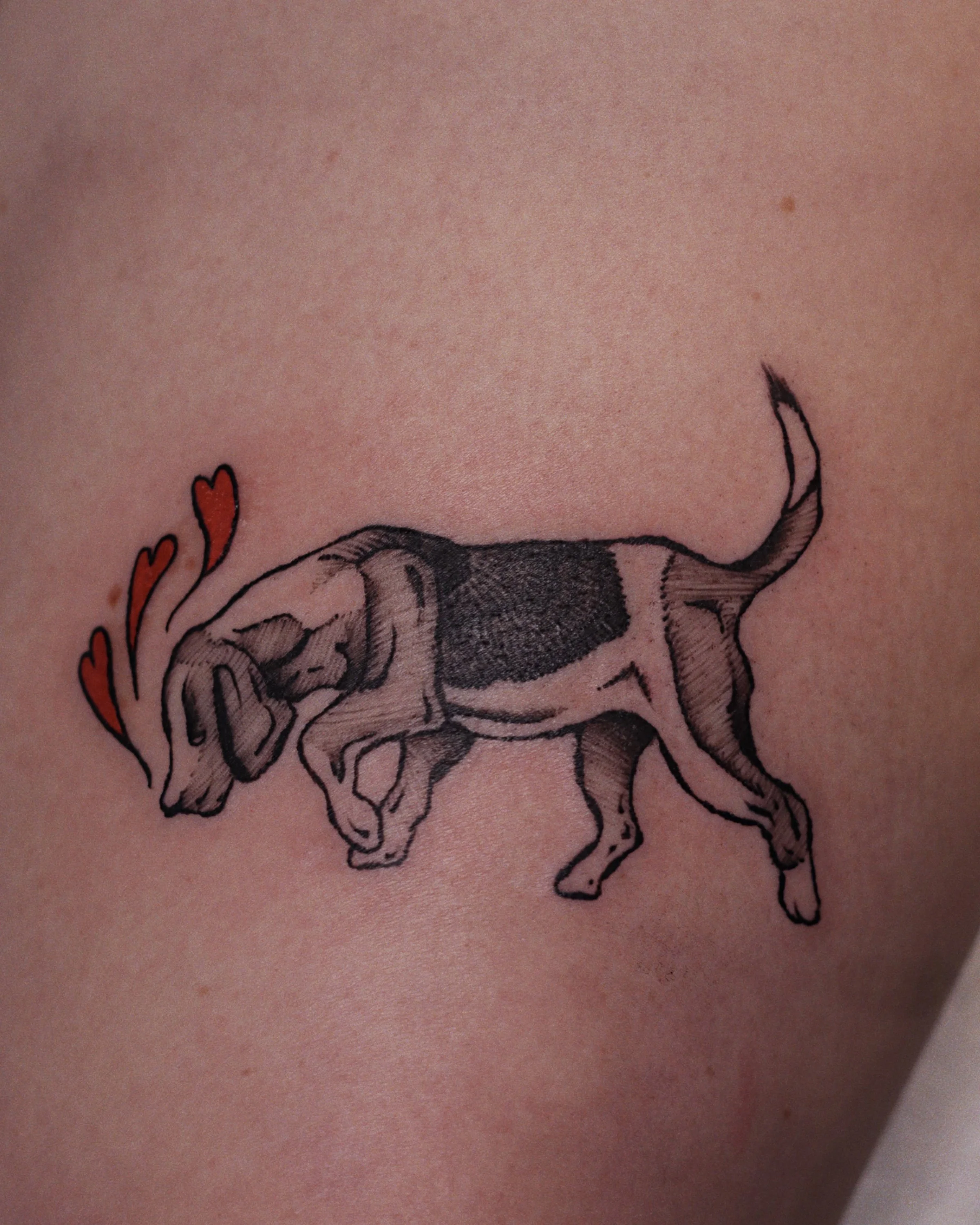 Illustrative tattoo of a dog and hearts 