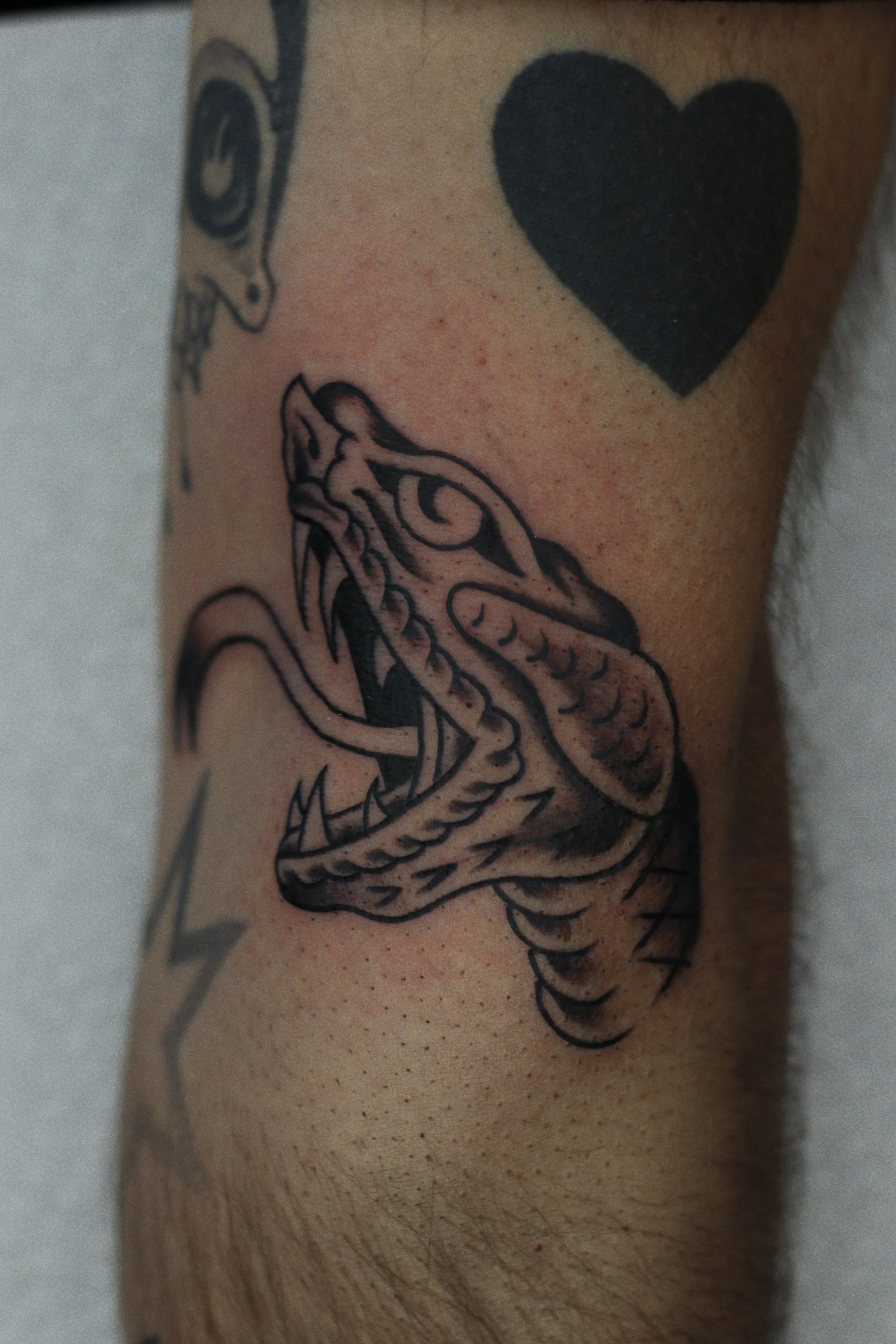 Traditional tattoo of a snakes head
