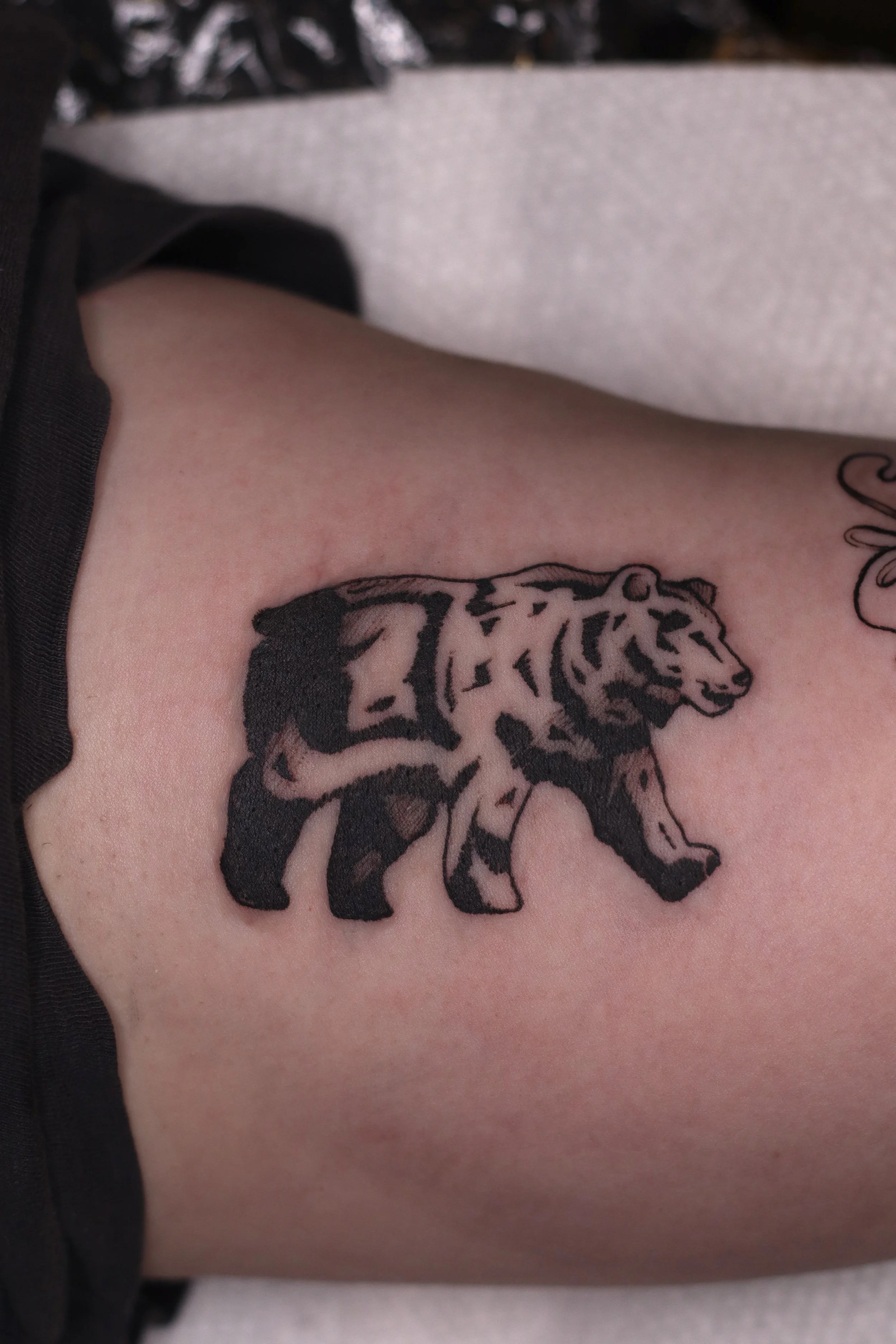 Black and grey tattoo of a bear
