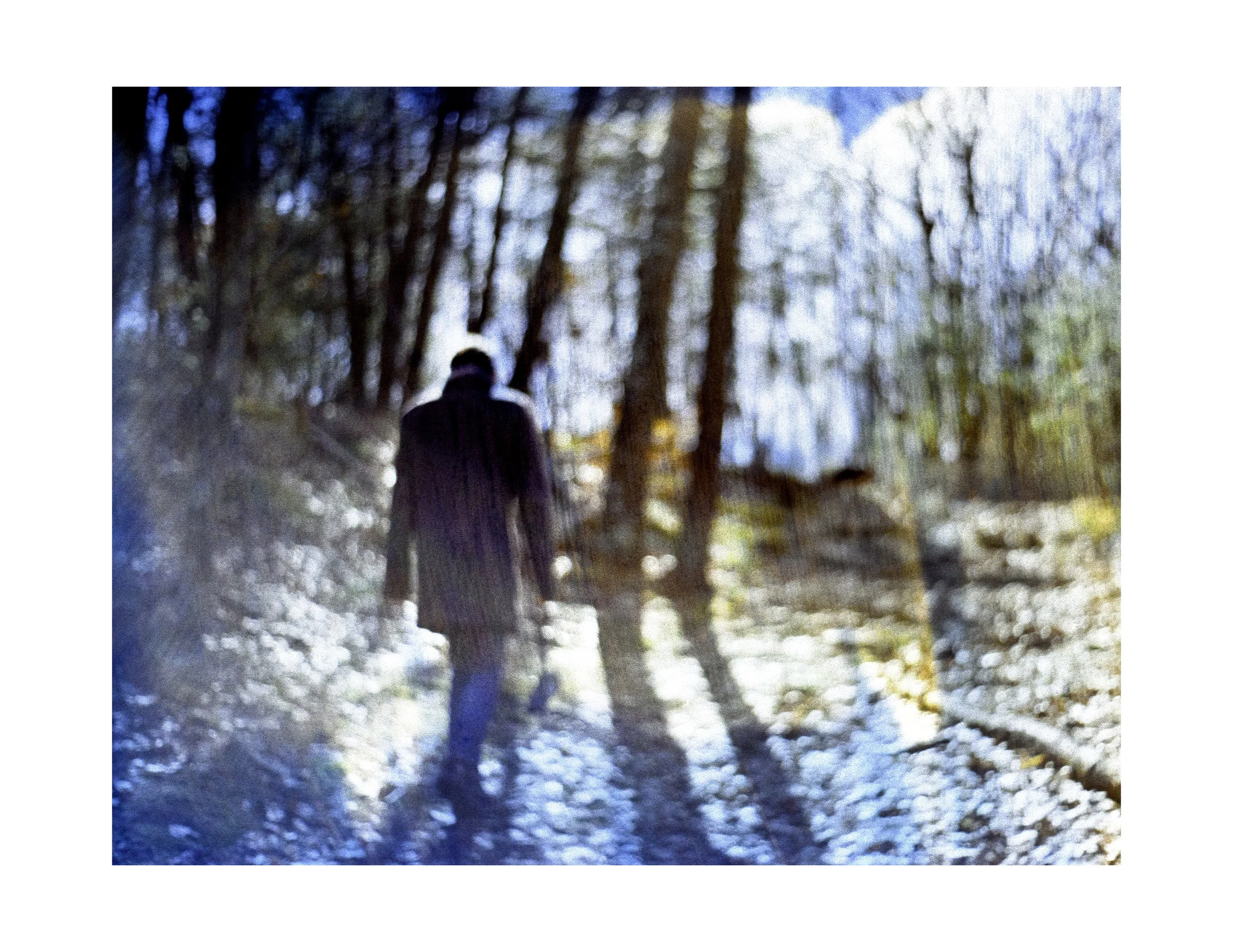 CyanoVisions-1 PRINT.jpg