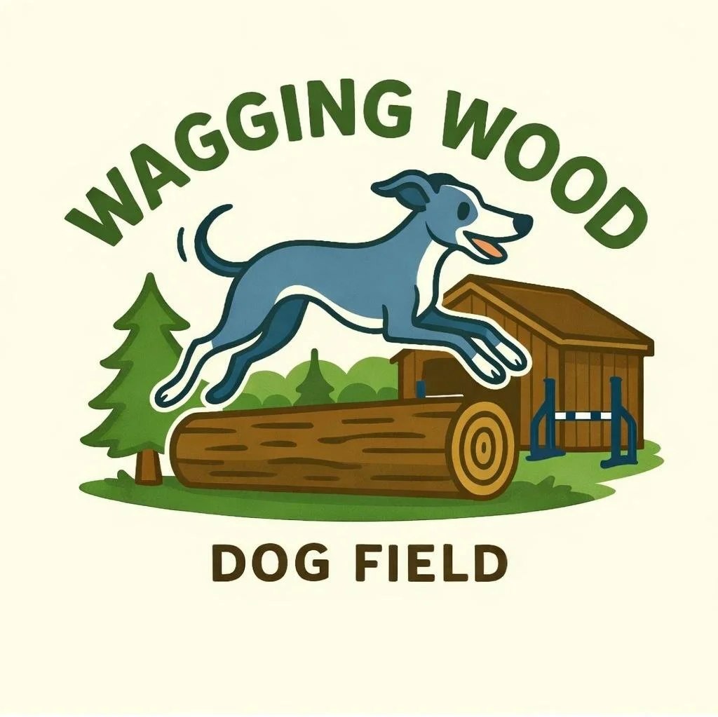 Morpeth Dog Walking Field &amp; Activity Shed