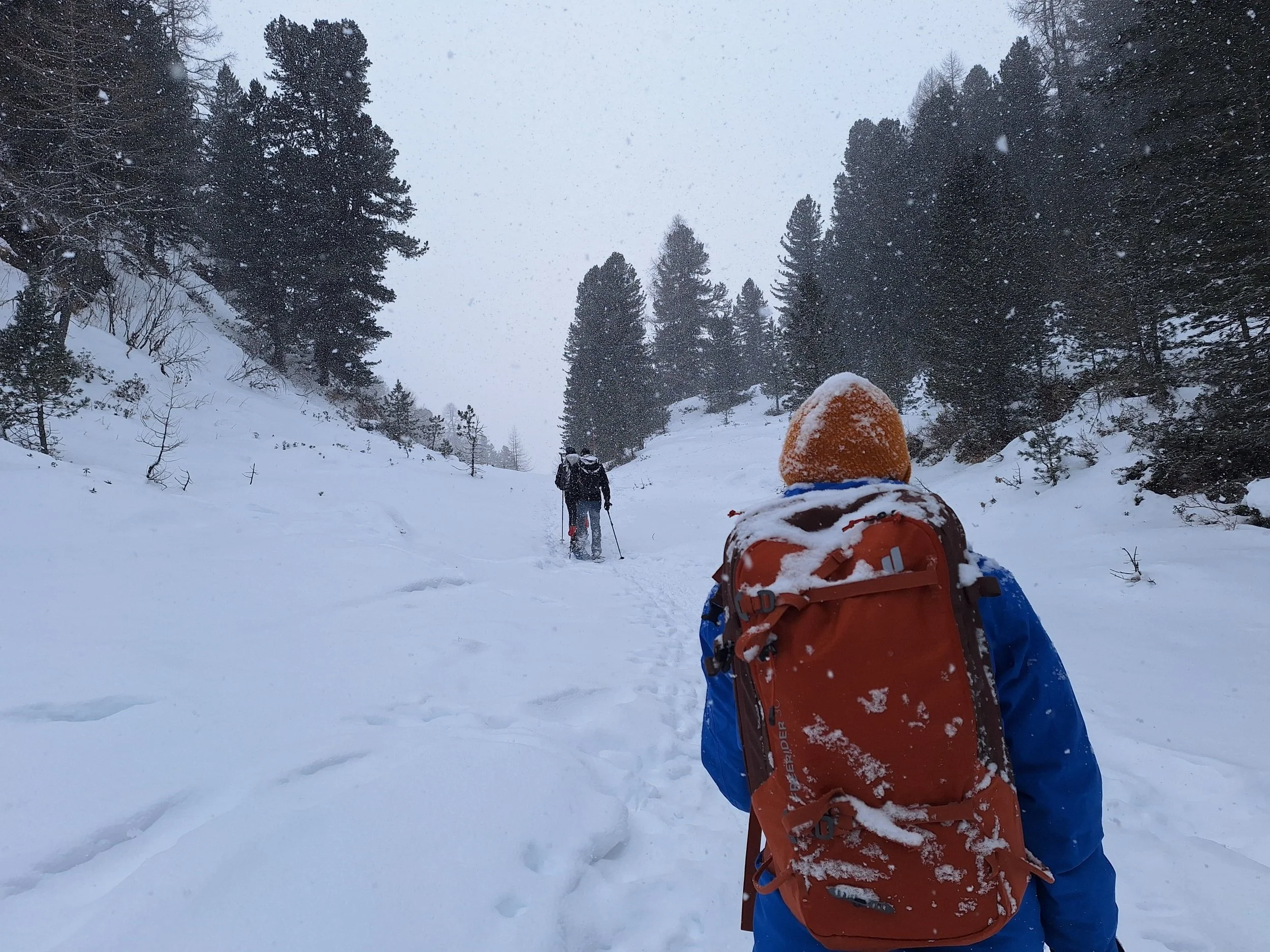 WhatsApp Image 2025-07-21 at 11.19.56.jpeg