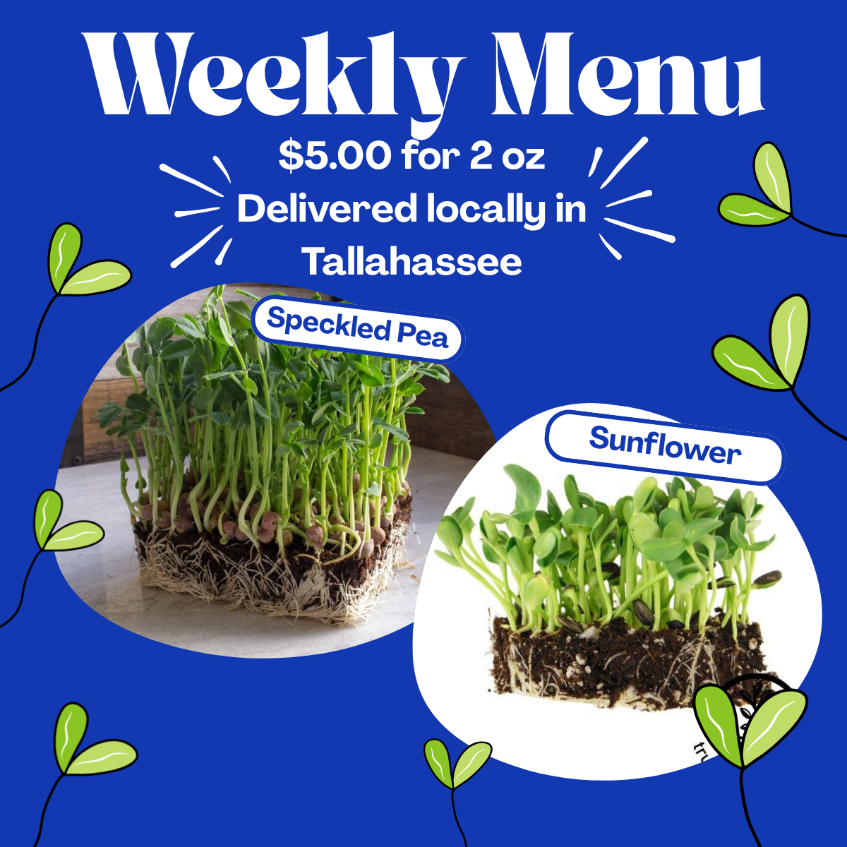 Organic Microgreens