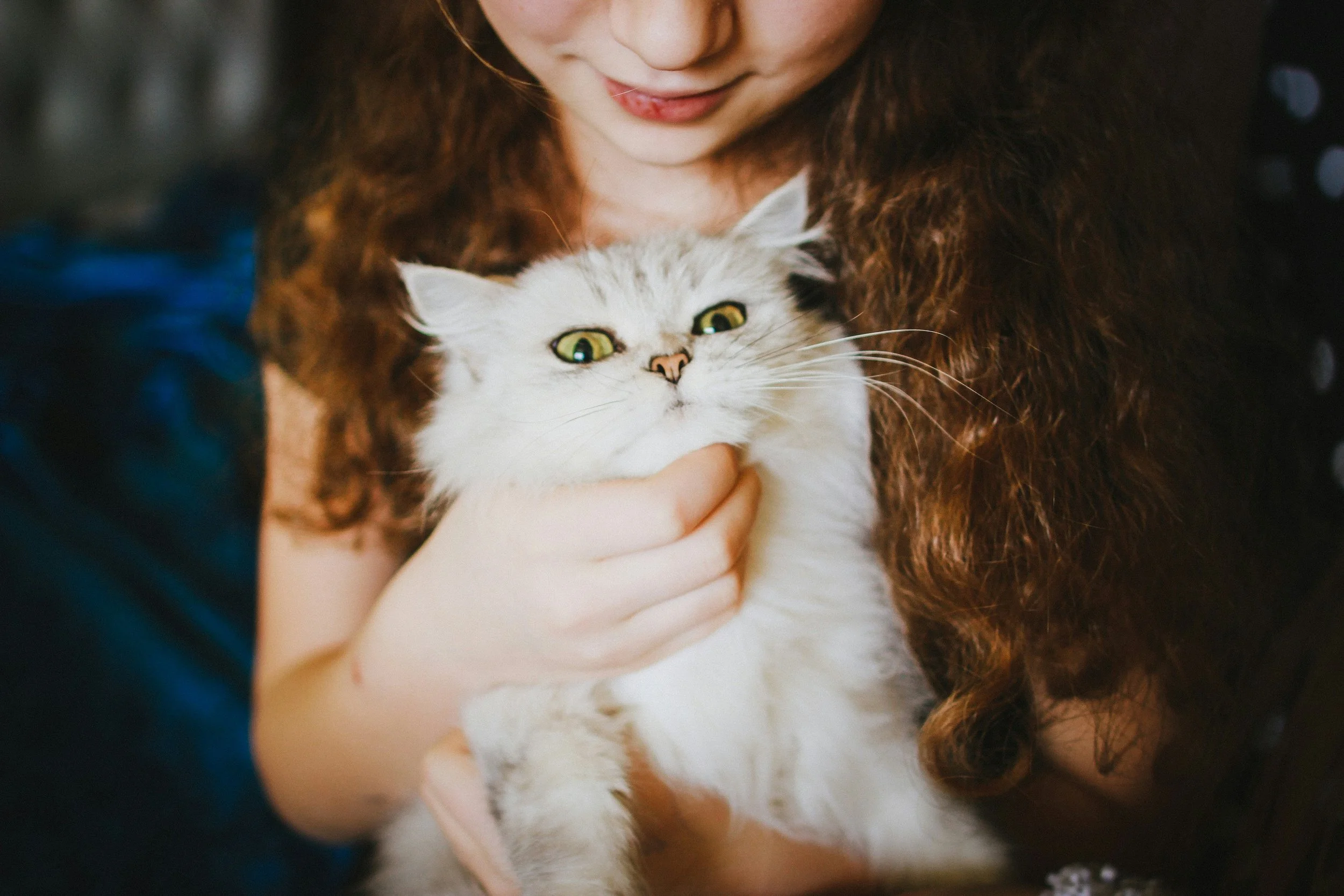 Part 4: What to Expect during The First Week with Your Cat