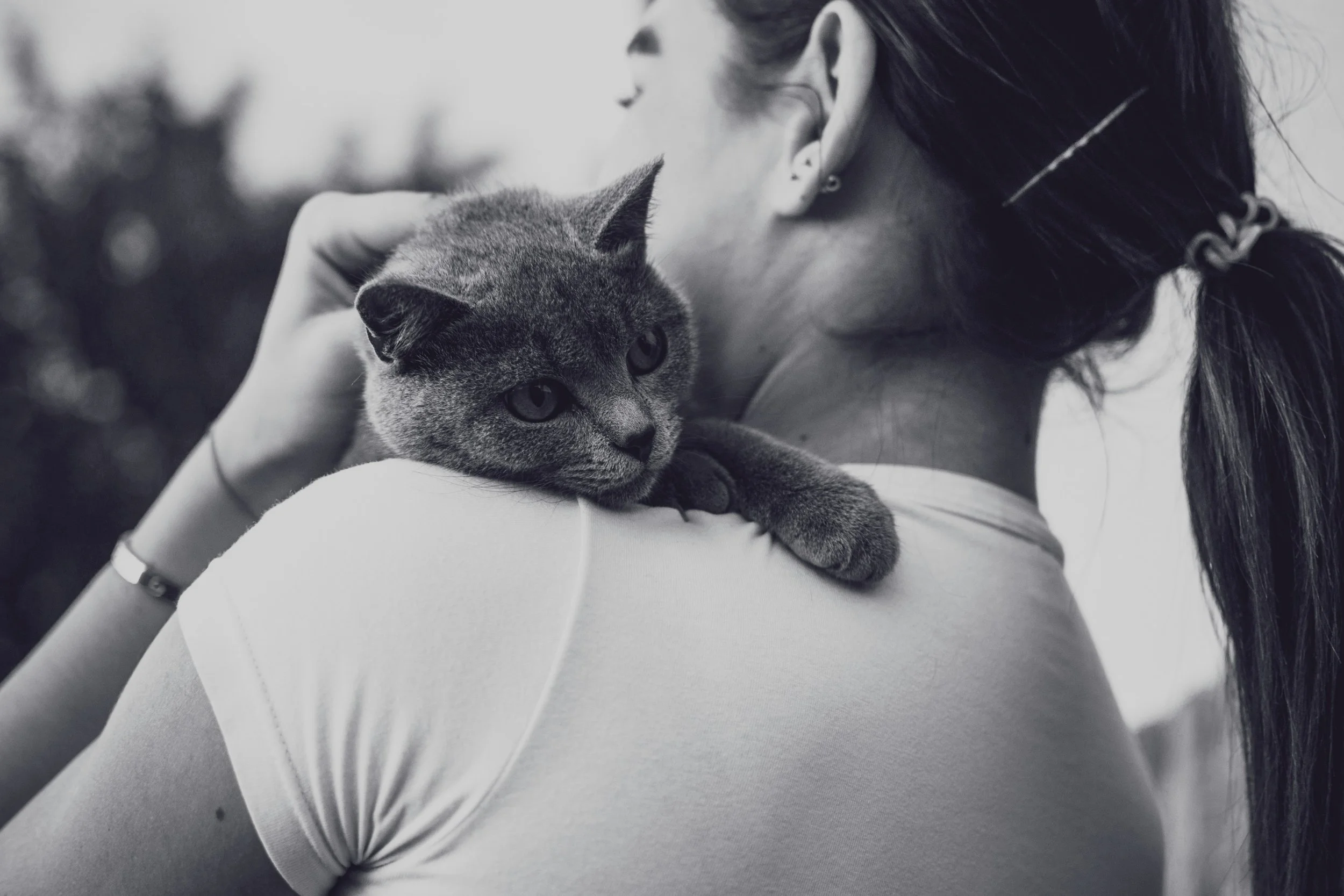 The Dear Pet Mom Manifesto: Why This Blog Exists