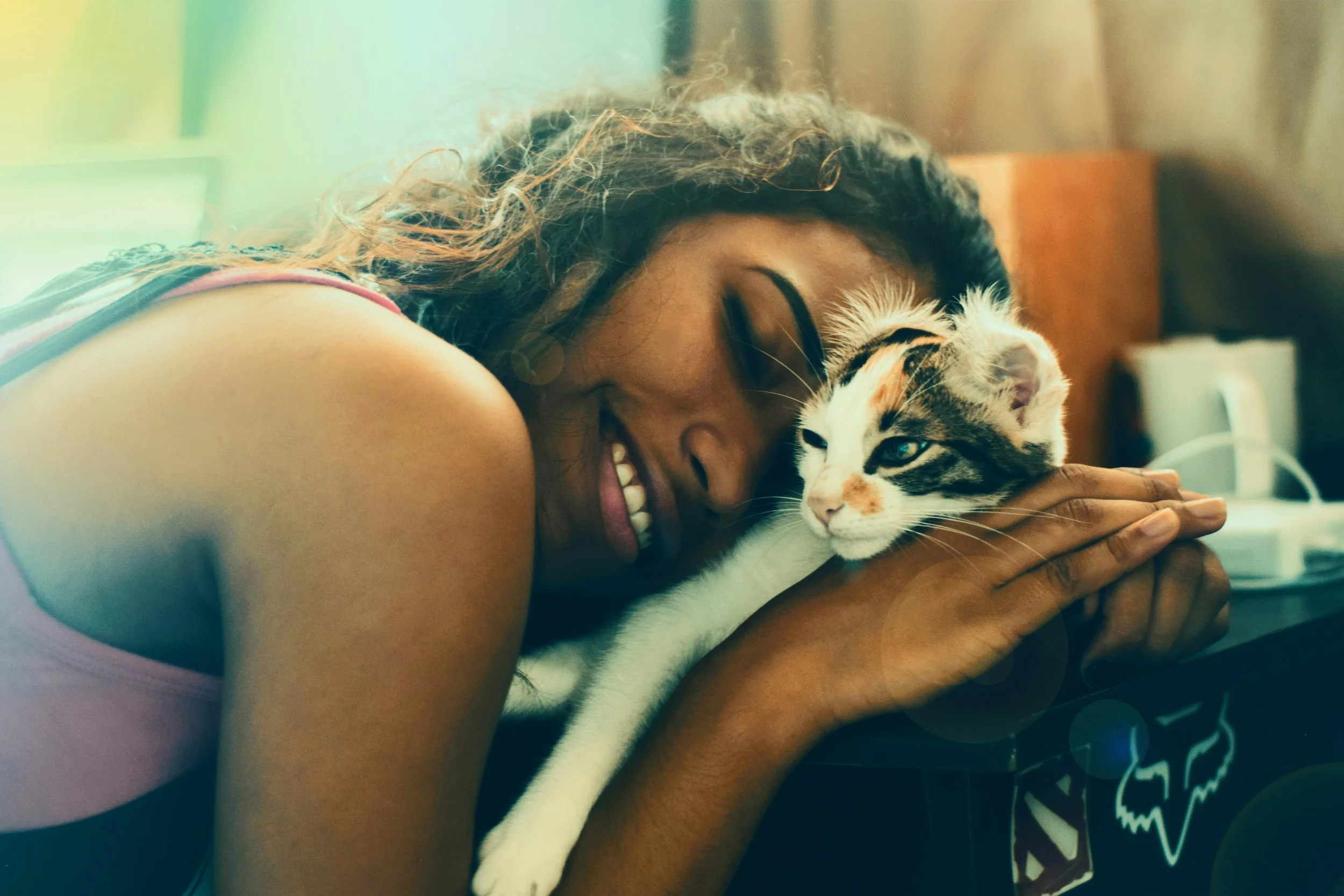What to Save For in Your Pet Emergency Fund (Without Feeling Overwhelmed)