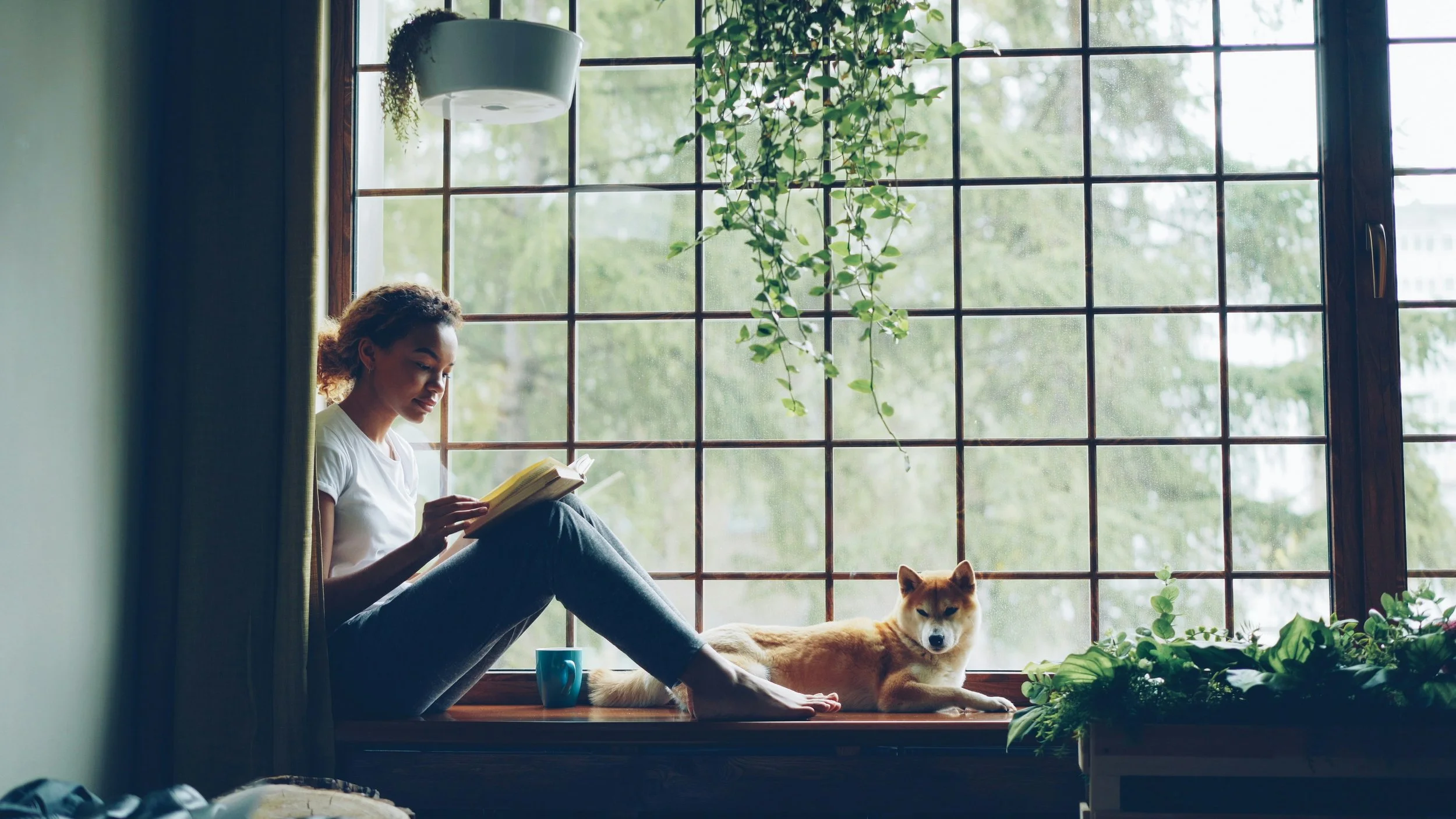 When Life Changes, Your Pet Budget Should Too