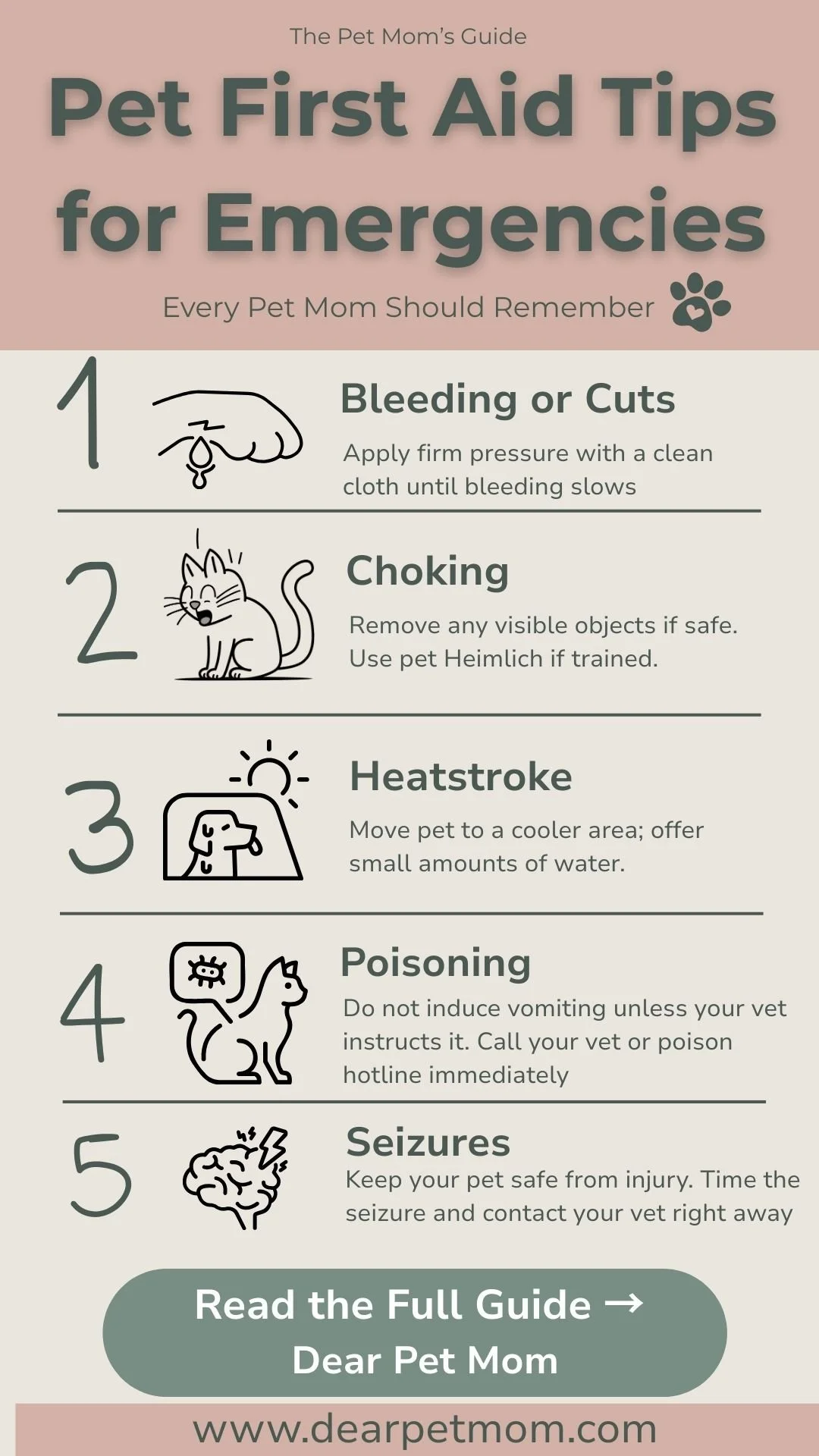 Infographic with 5 pet first aid tips for emergencies — how to treat bleeding or cuts, choking, heatstroke, poisoning, and seizures in cats and dogs