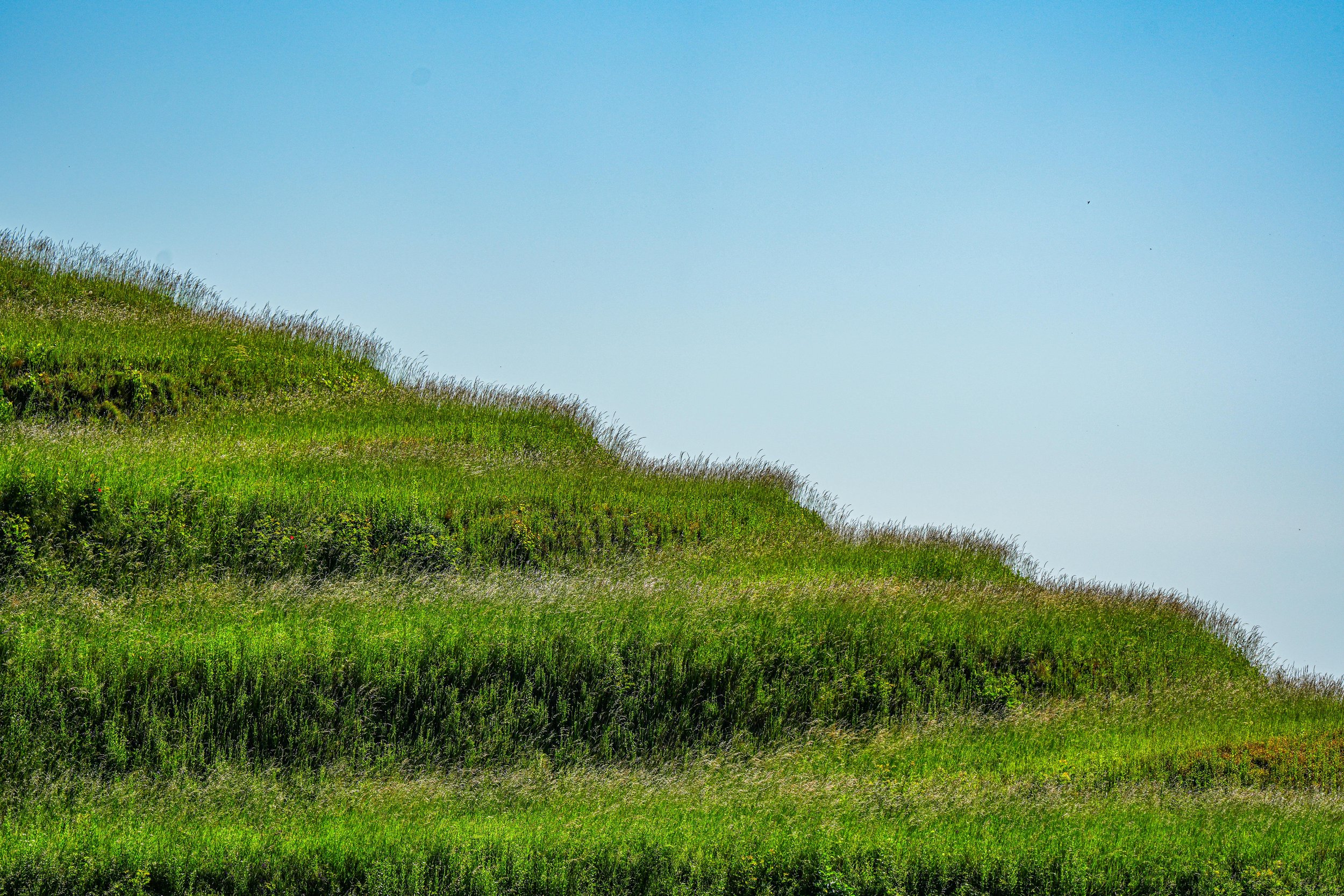 7 Content Trends in 2026