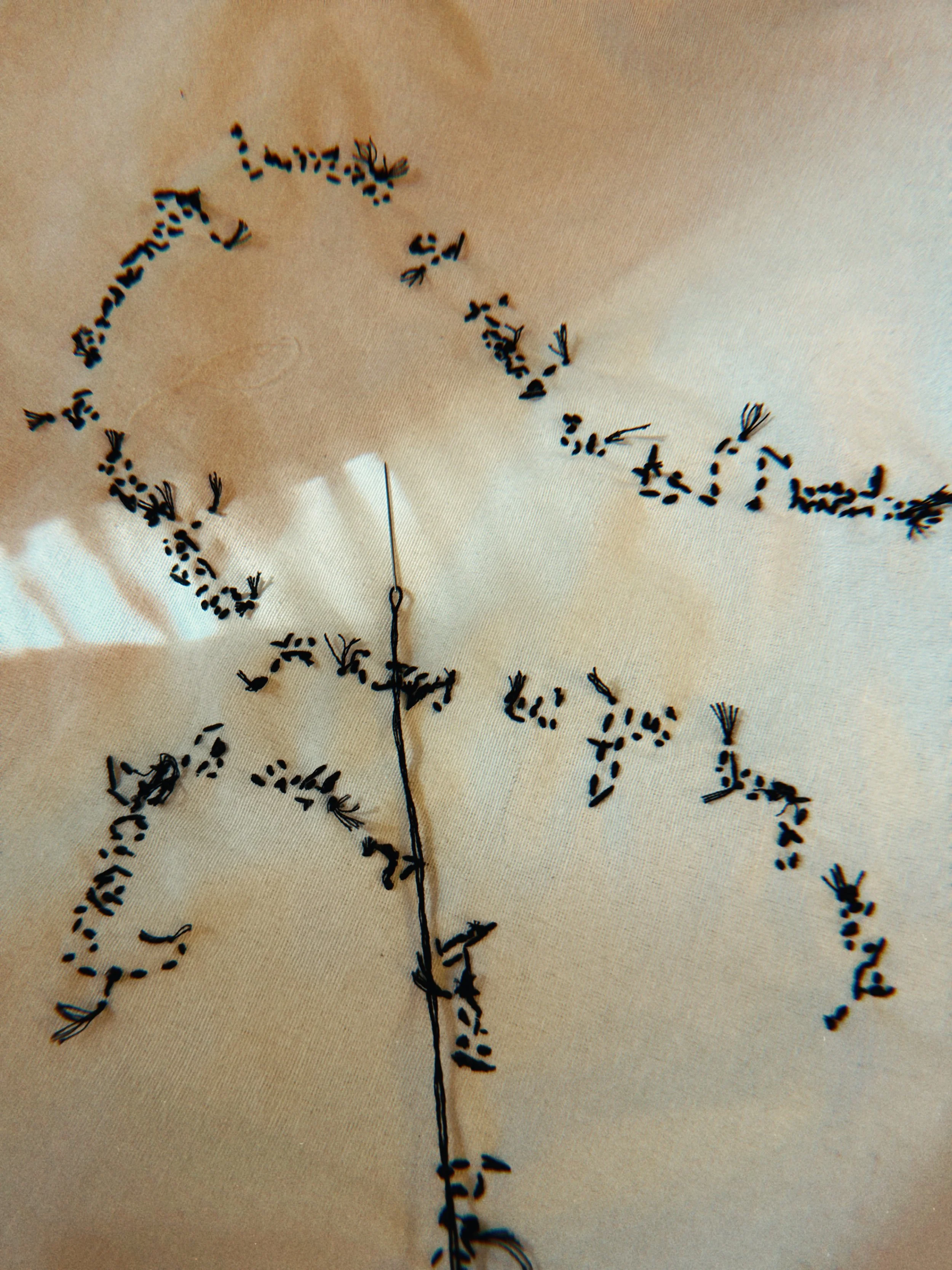 A close-up of a skeleton of a dragonfly, showing detailed black wing-like structures attached to a thin, elongated body, laid on a plain beige background.