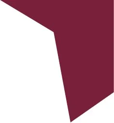 A dark red geometric shape with sharp angles and a shadow effect.