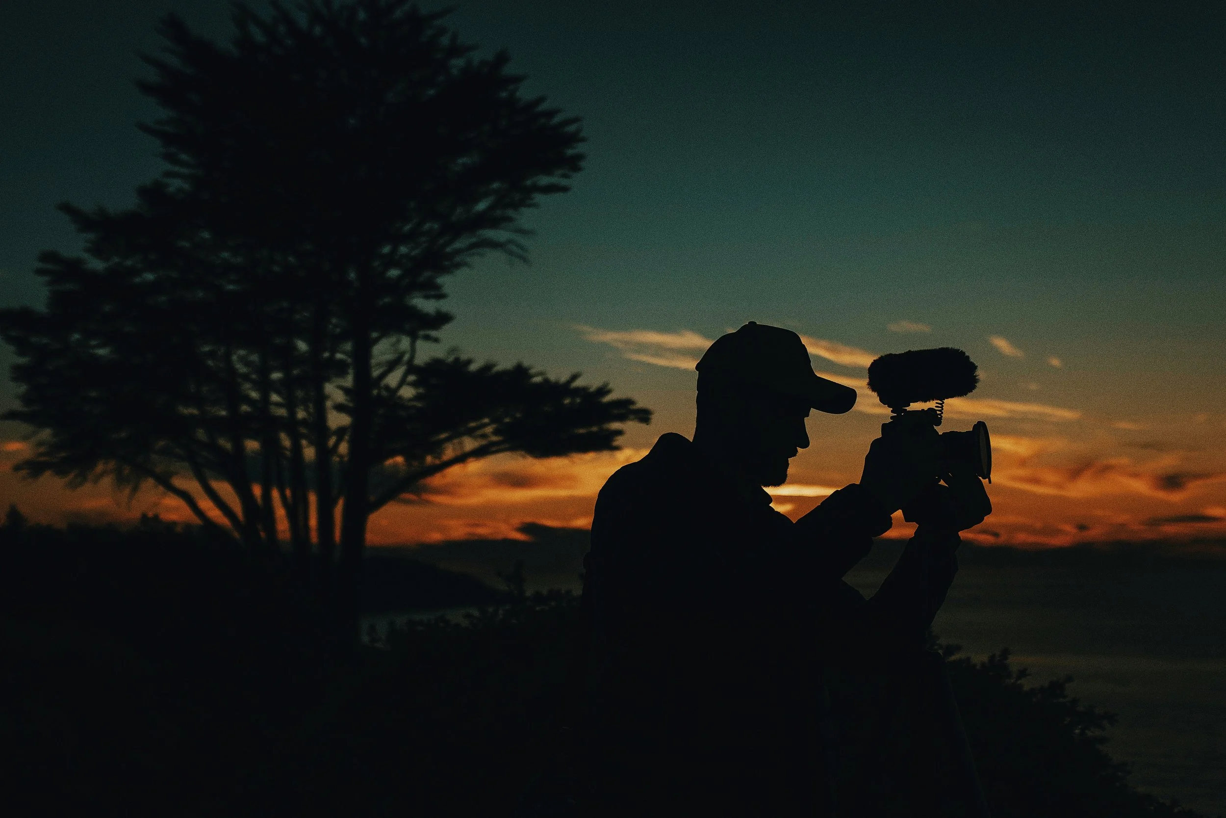 Silhouette of a person holding a camera with a microphone on a tripod, standing outdoors at sunset with a large tree in the background.