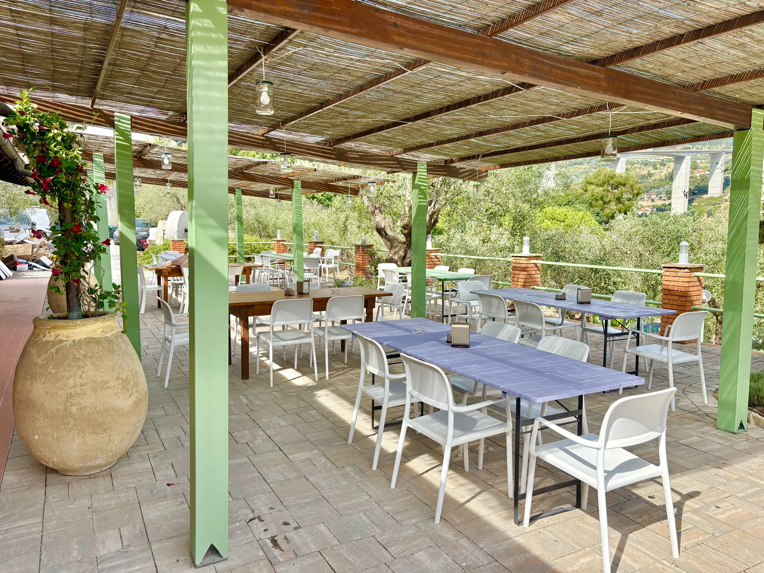Outdoor restaurant terrace at The Club House Bordighera — Mediterranean dining surrounded by olive trees, serving breakfast, lunch, and aperitivo.