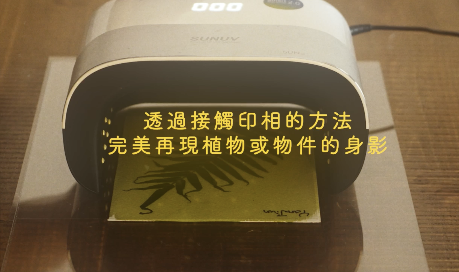 截圖 2026-02-05 凌晨12.03.12.png