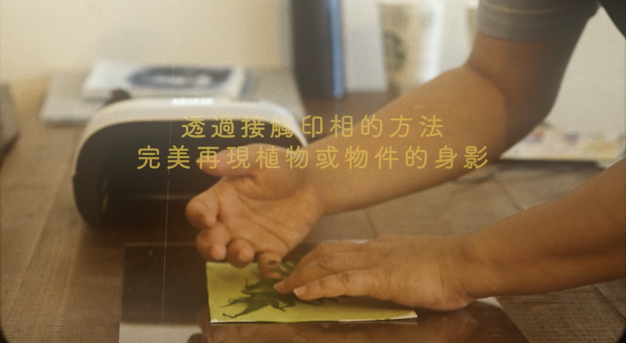 截圖 2026-02-05 凌晨12.03.01.png