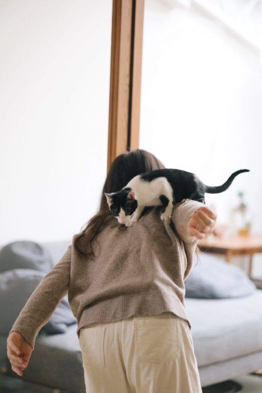 A person with long brown hair is carrying a black and white cat on their shoulder inside a modern living room with a gray couch in the background.