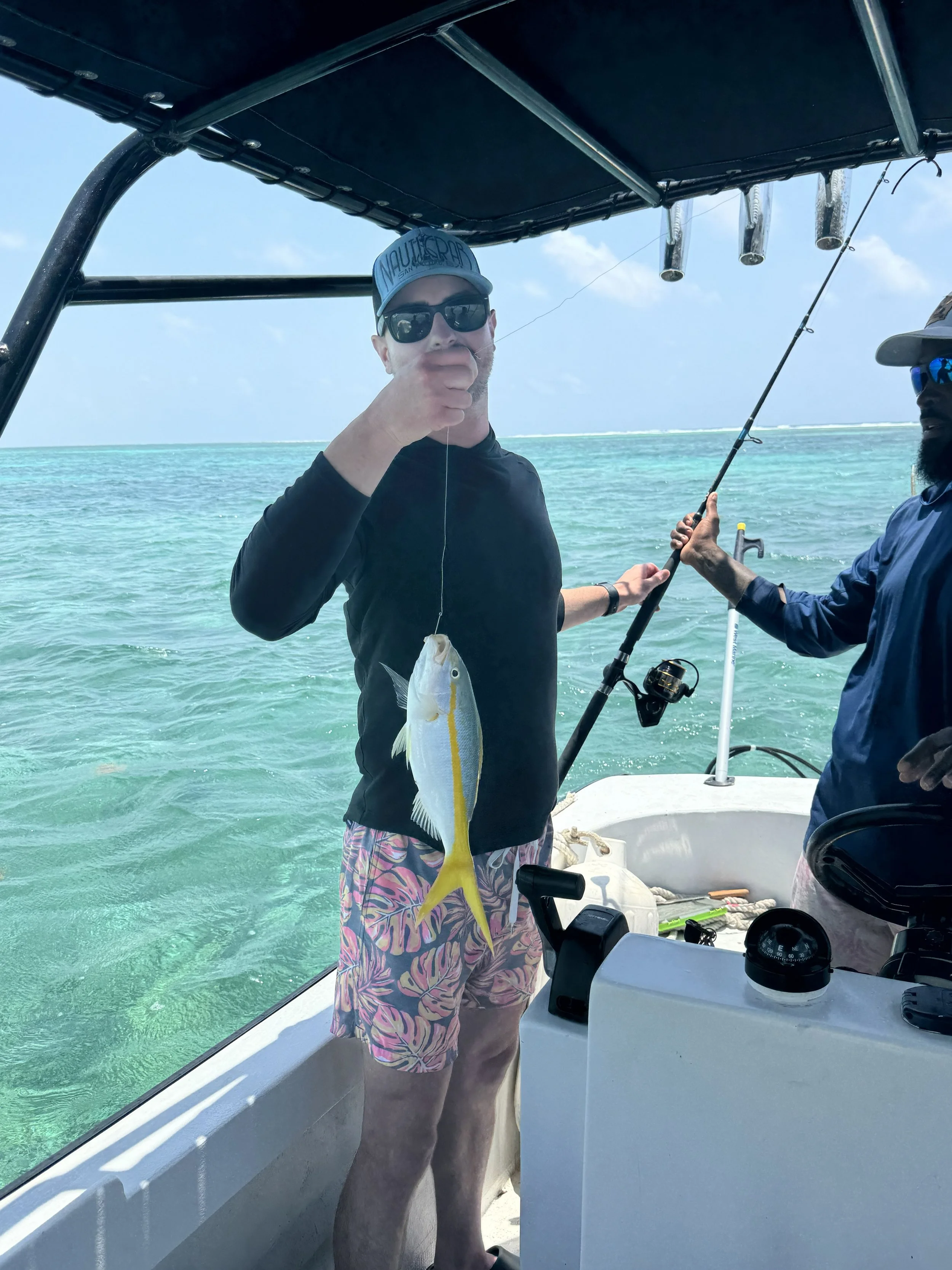 Yellowtail Snapper