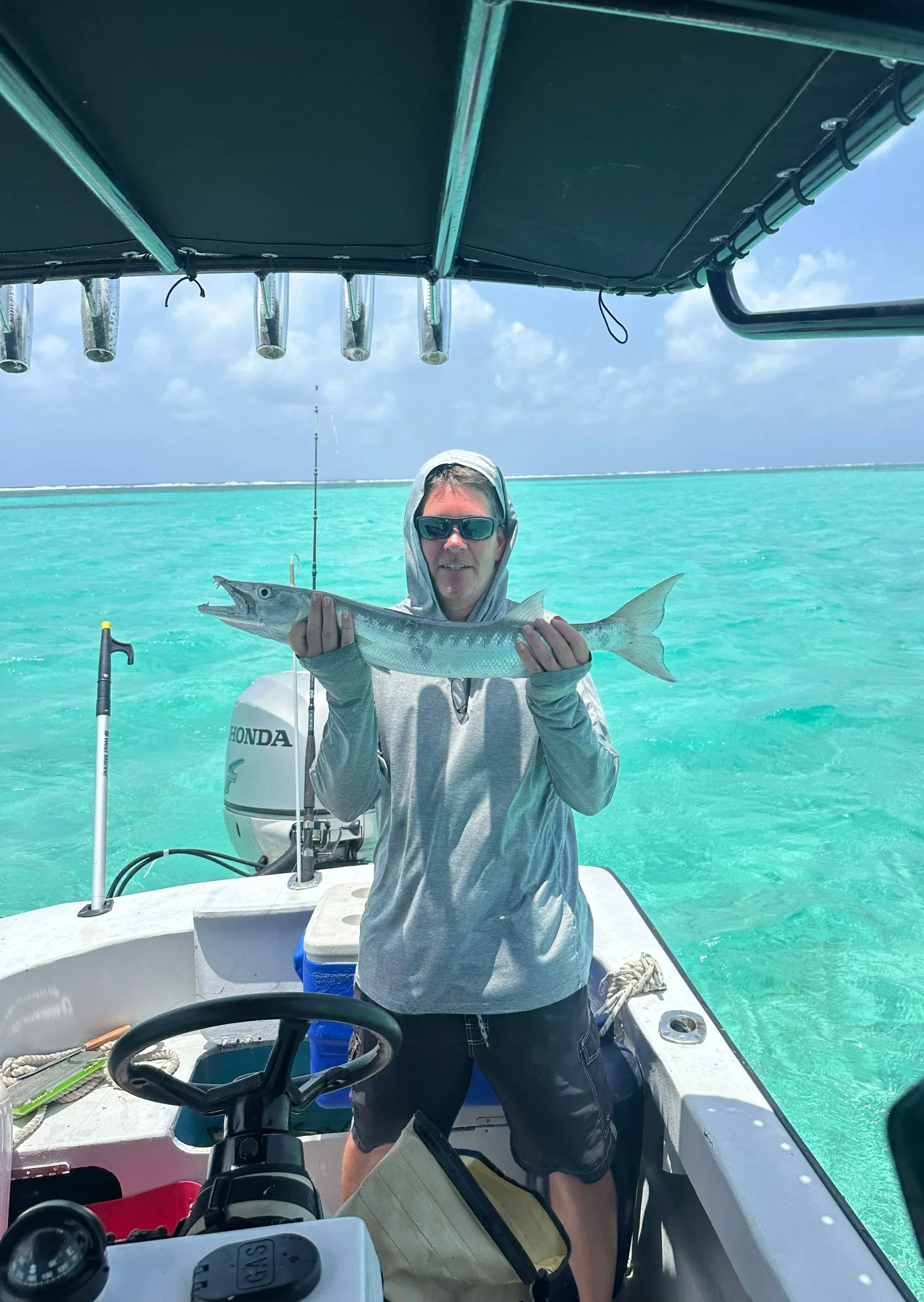 Barracuda