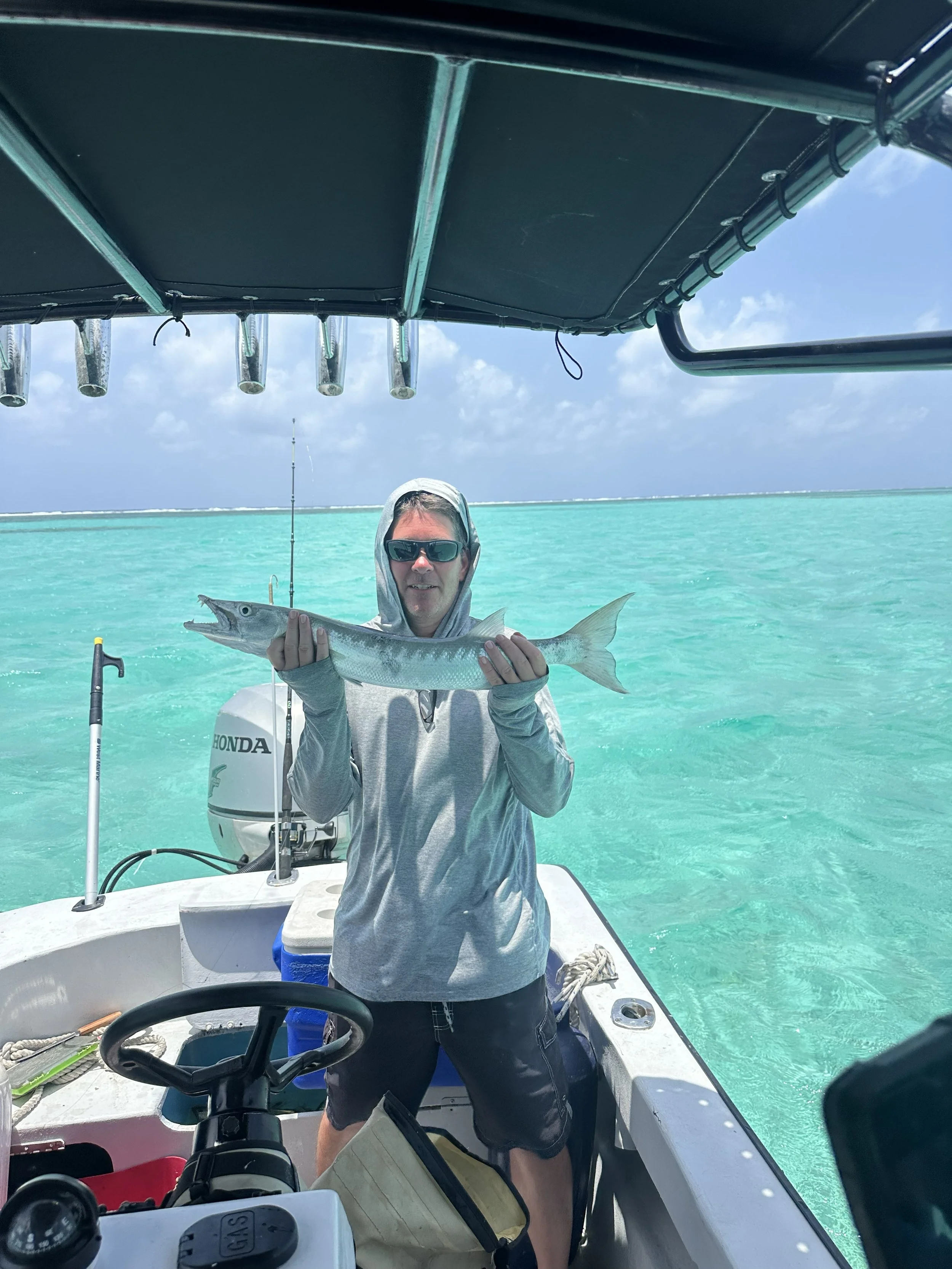Barracuda
