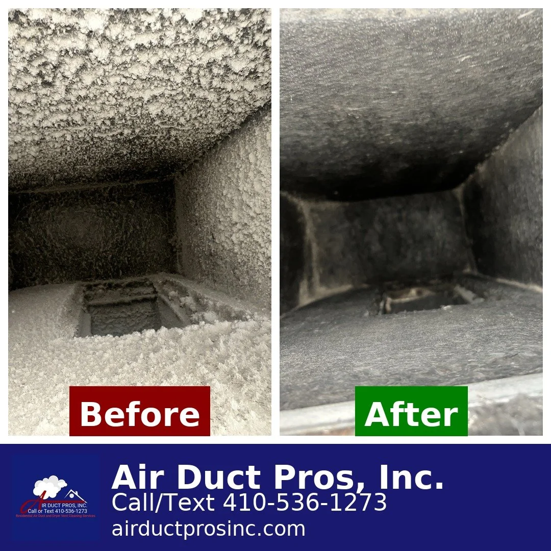 Photo Sep 30 2025, 5 46 16 AM.jpg