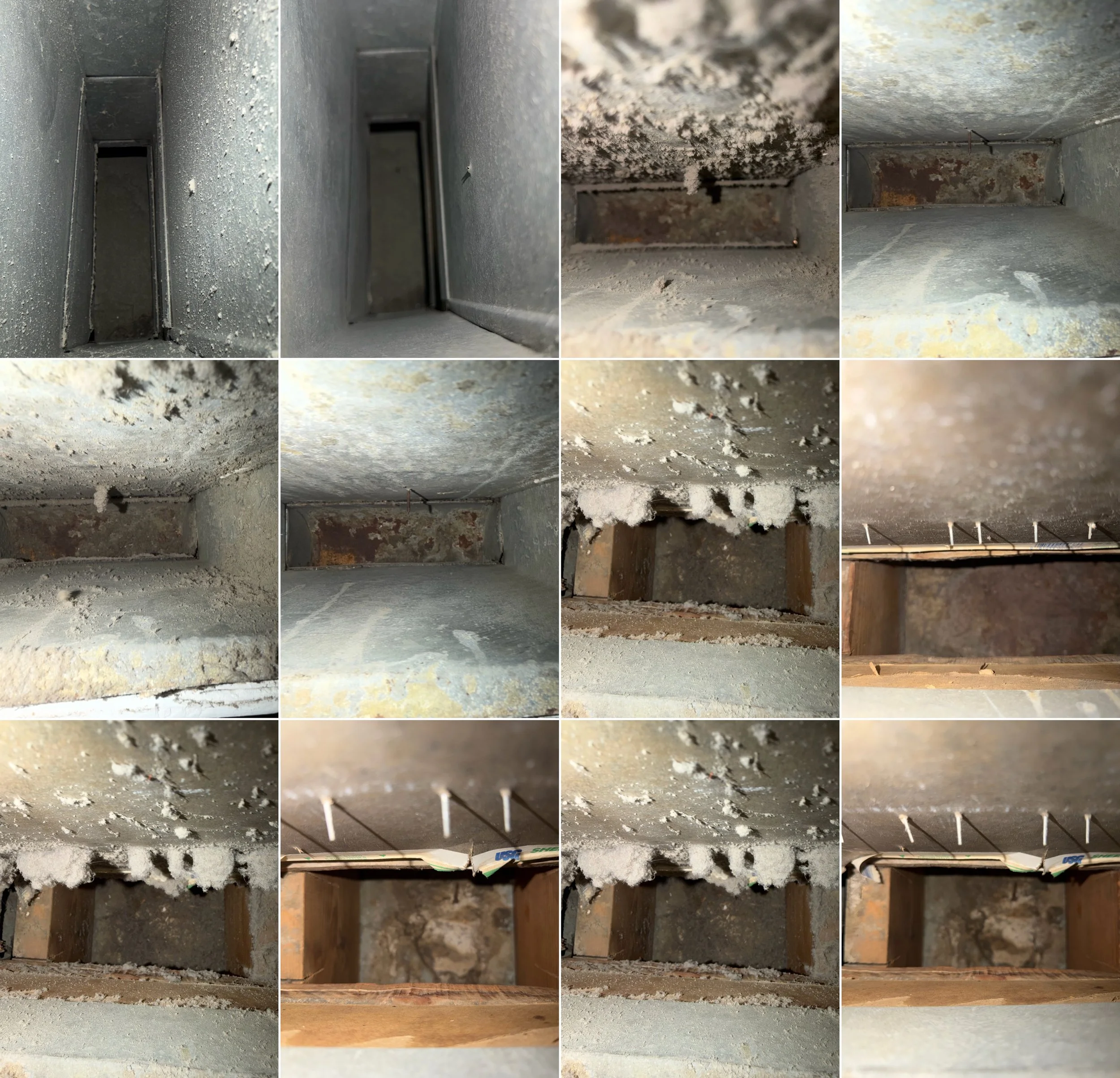 Yesterday's air duct cleaning in Annapolis on a hot Maryland day. 🥵