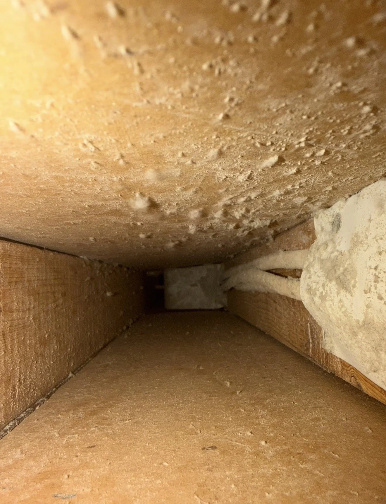 2026-08-05 11.21.56.jpg
