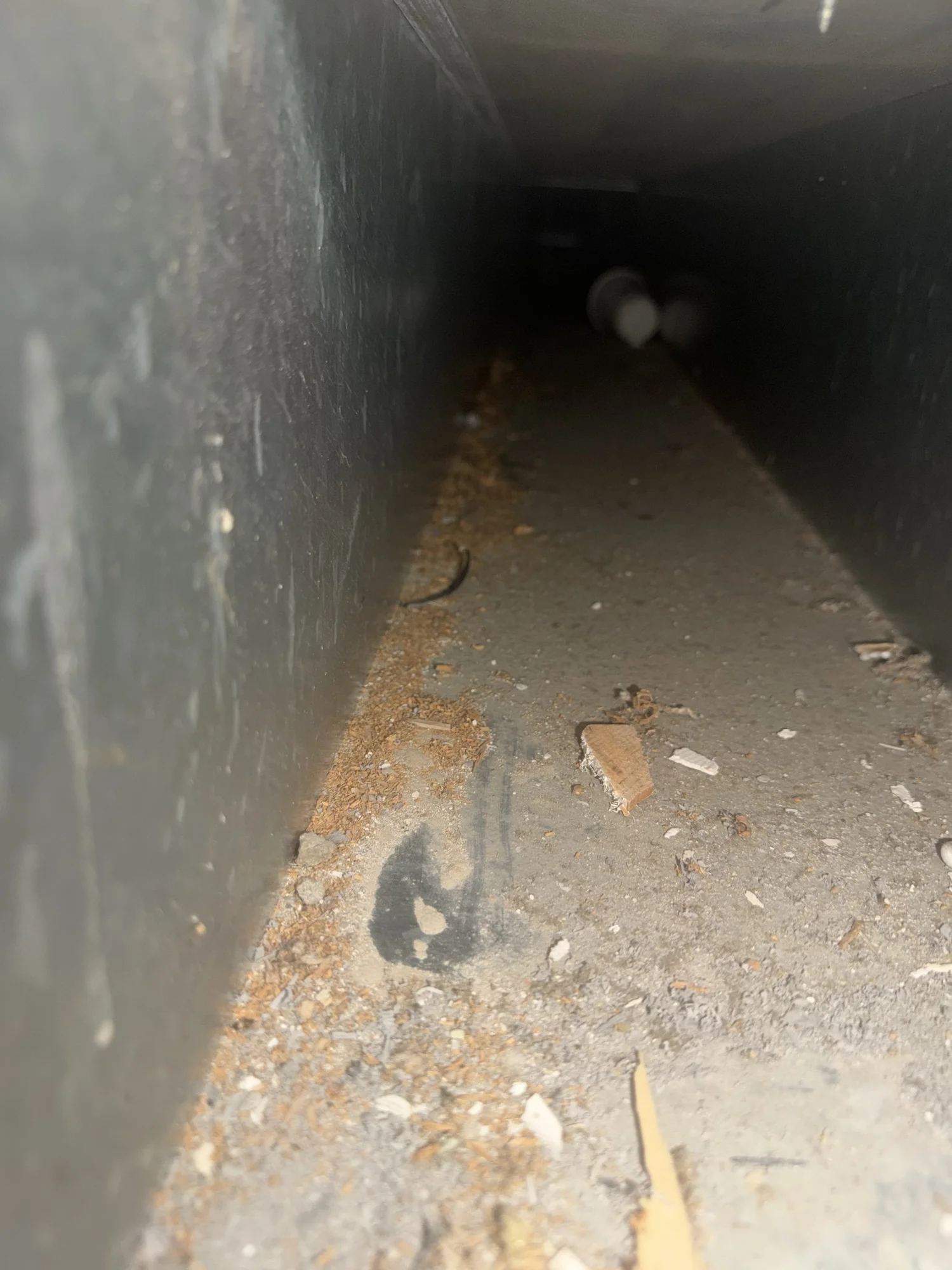 Dust buildup inside residential duct before cleaning in Catonsville Maryland