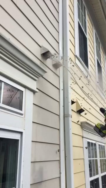 Dryer Vent Cleaning