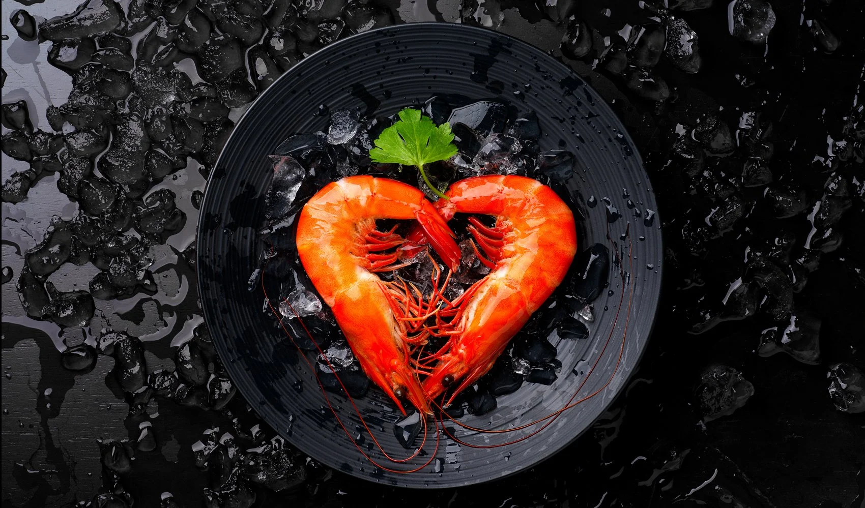 Food Photographer, Professional Food Photographer, Seafood Photographer