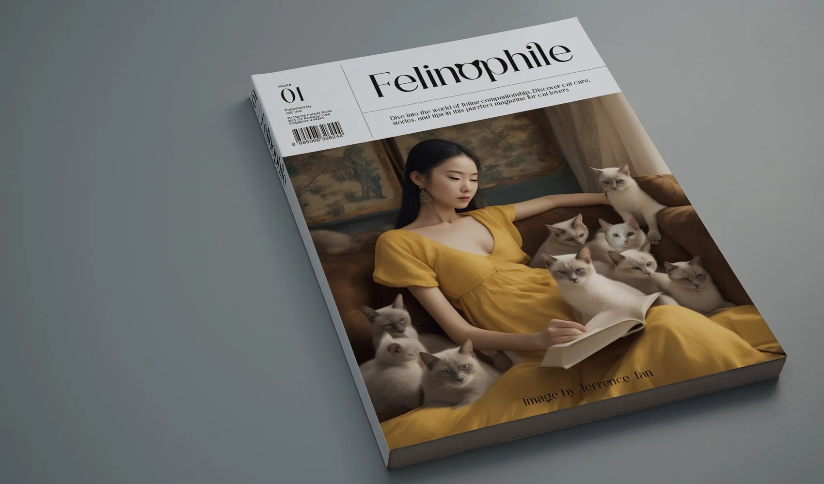 Marketing collateral Design