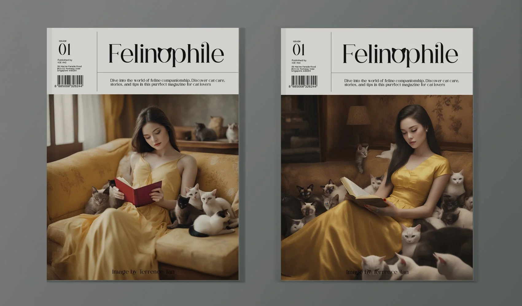 Marketing collateral Design