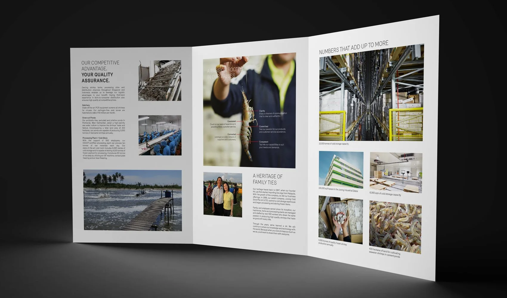 Marketing Brochure Design
