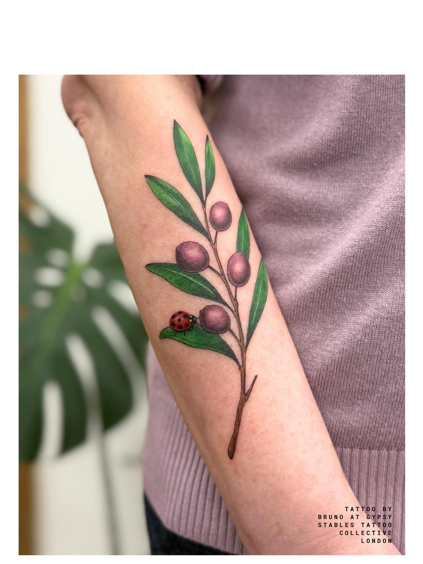 Olive branch tattoo with miniature ladybug by @bruno_jardim_tattooer done at our central London tattoo studio | To book in with Bruno contact him directly or book via our website