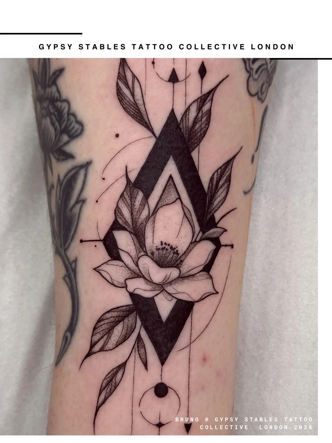 Fineline floral illustration tattoo by @blsj_fineline | London May 2026