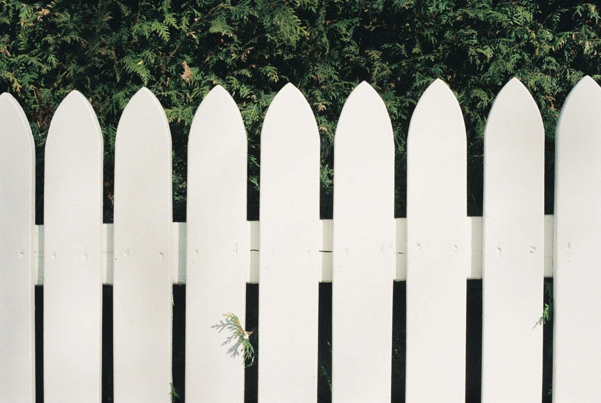 When to Call a Contractor for Privacy Fencing in Joplin