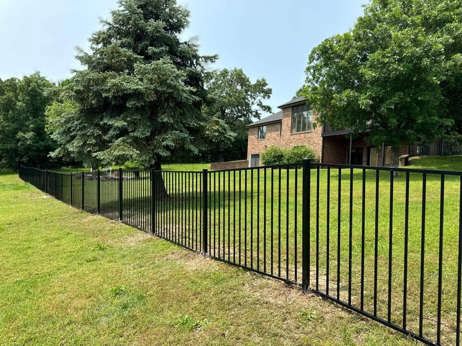 Black metal fence in a residential yard